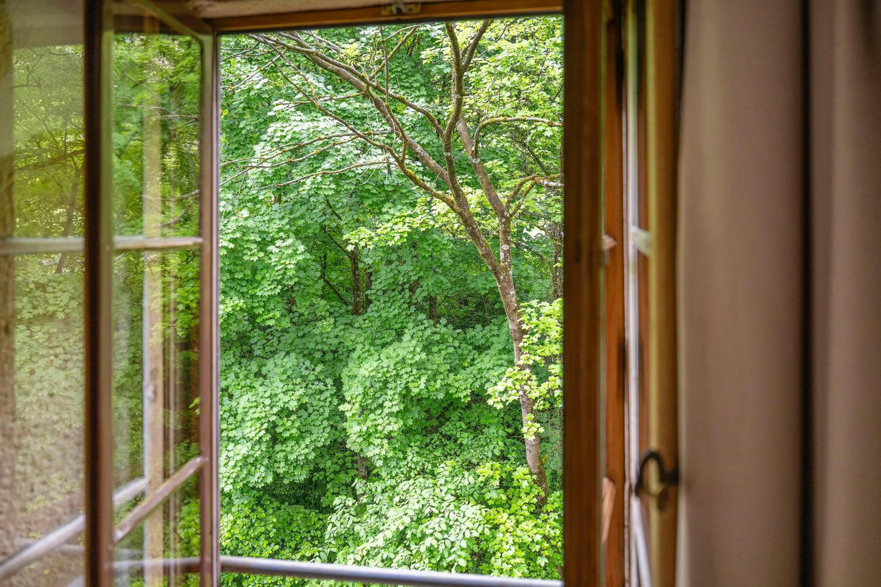 View (from property/room) in Hôtel La Maison du Prussien