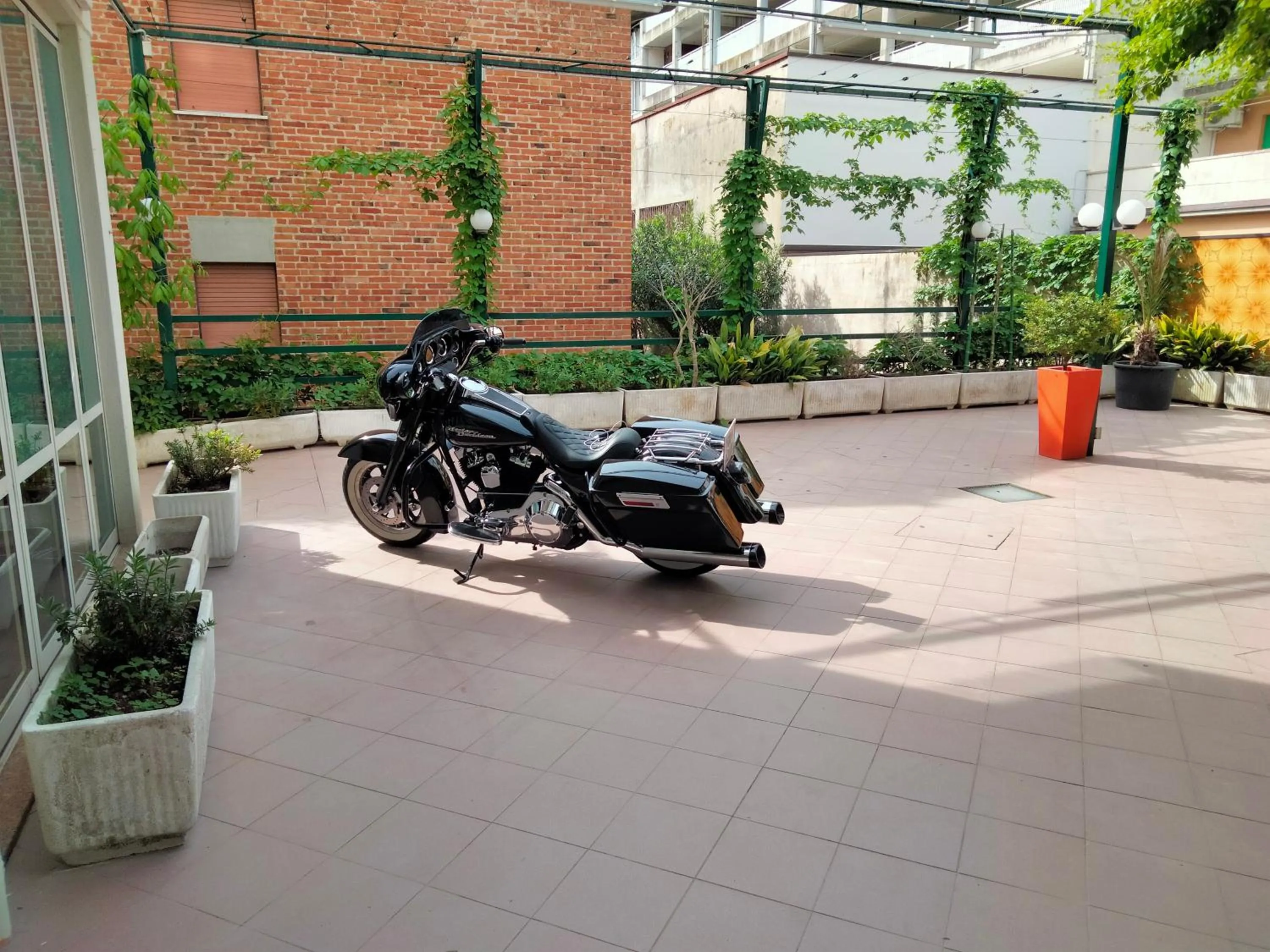 Garden in Hotel Stiefel