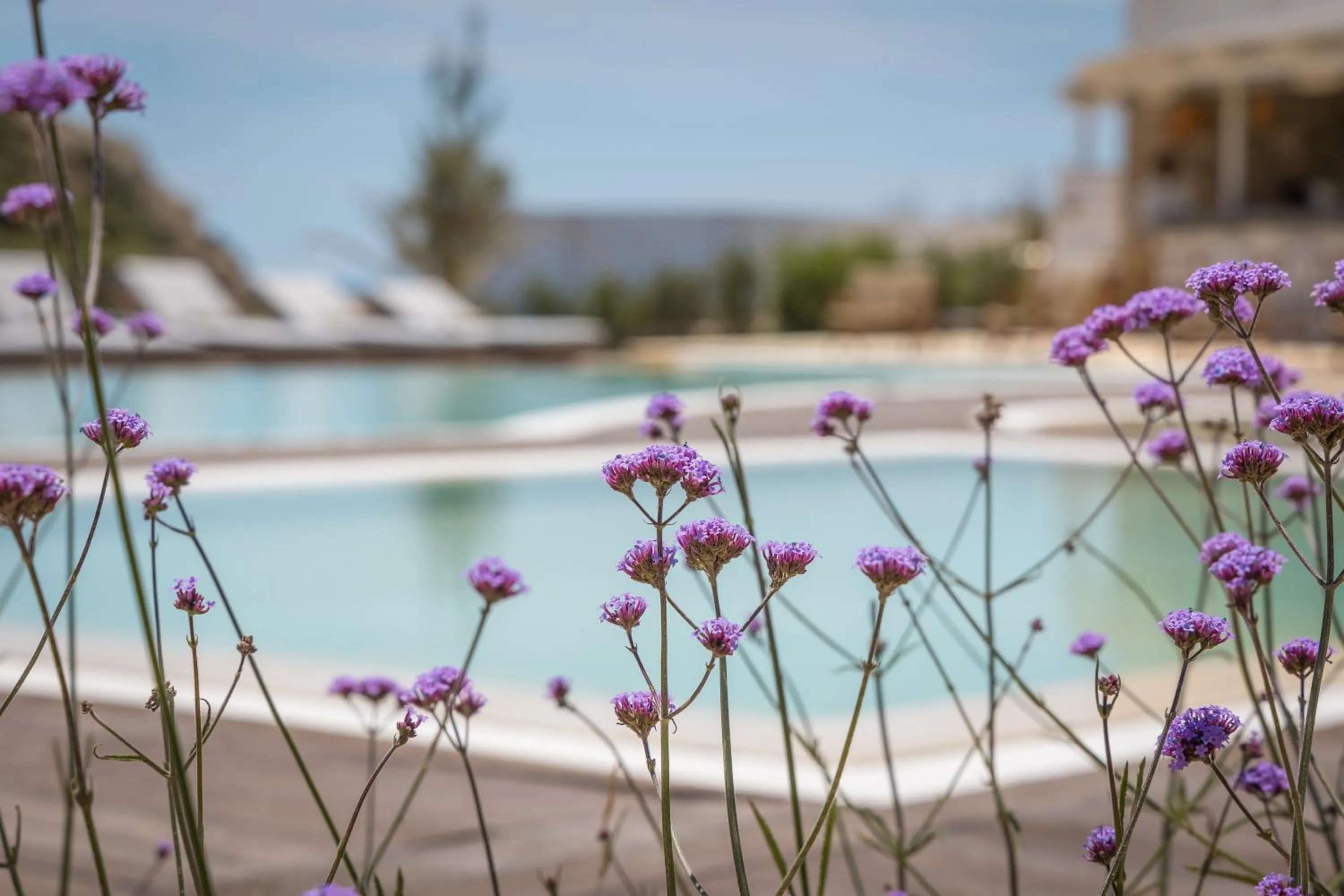 Natural landscape in Golden Milos Beach Ηouse by Domotel