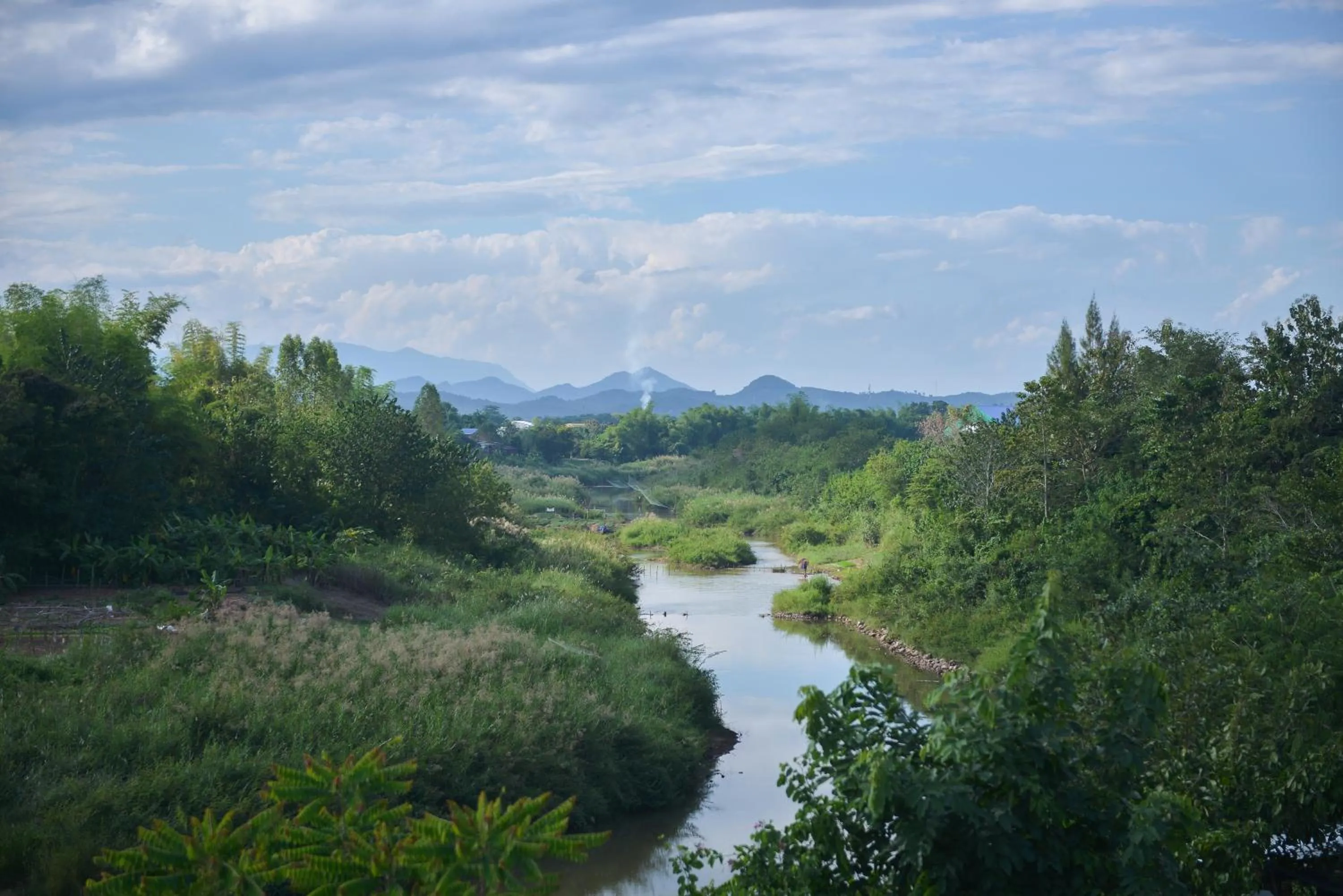 View (from property/room) in The Cozy Hotel