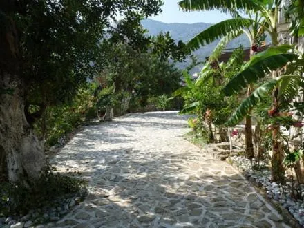 Area and facilities in Stone Village Hotel Apartments