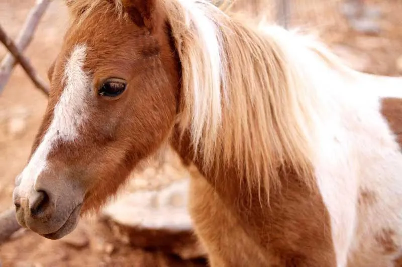 Other in Stone Village Hotel Apartments