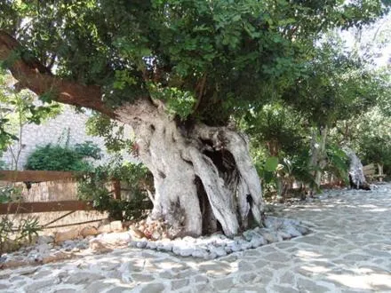 Area and facilities in Stone Village Hotel Apartments