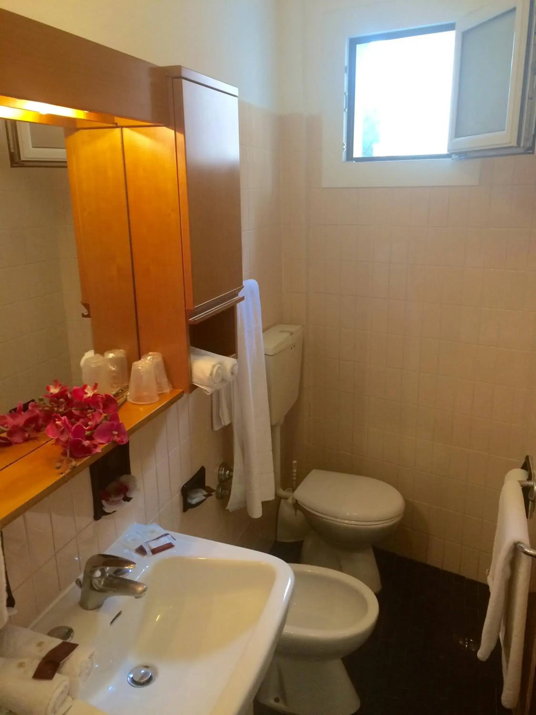 Day, Bathroom in Hotel American