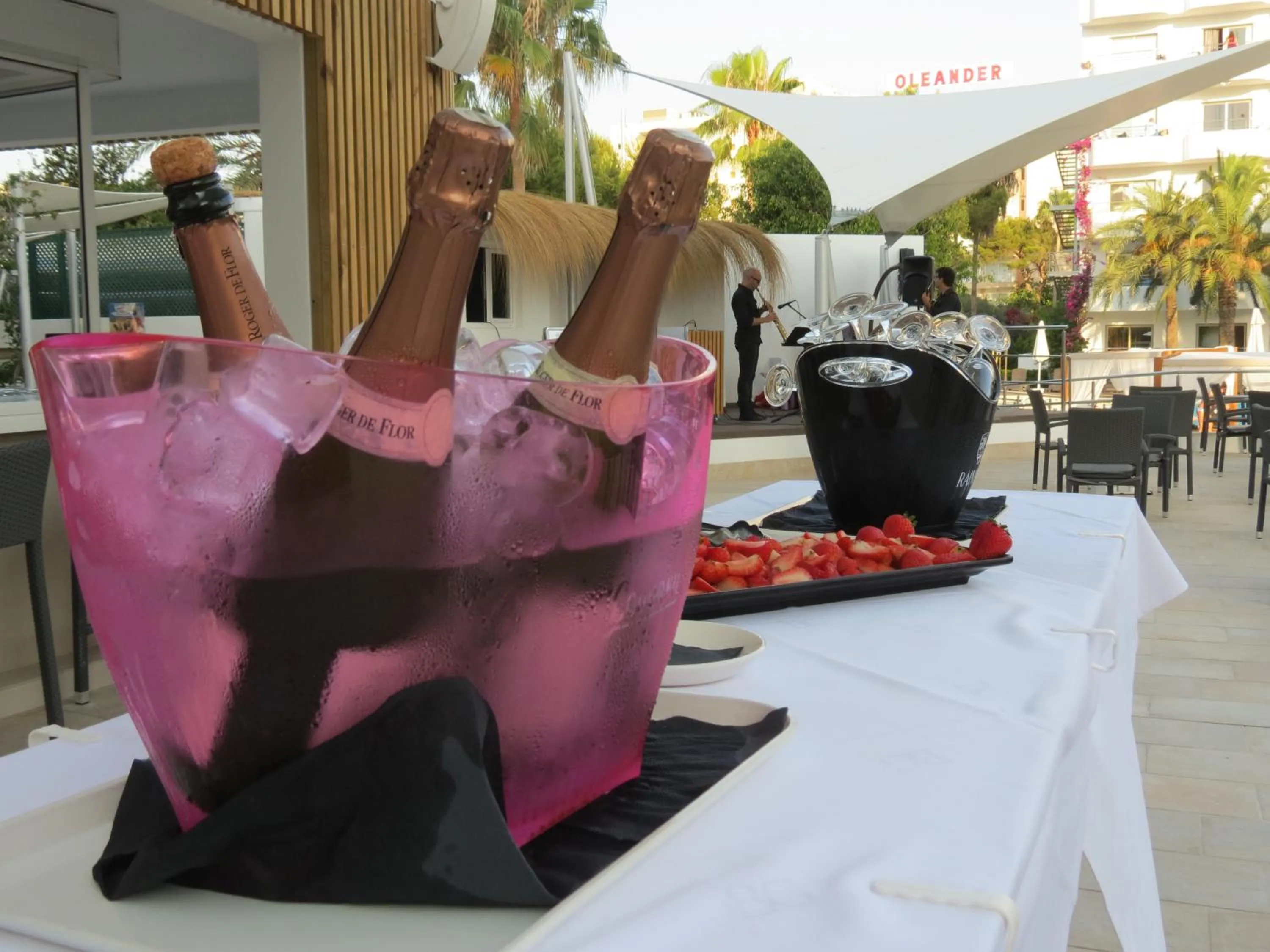 Evening entertainment in BG Pamplona