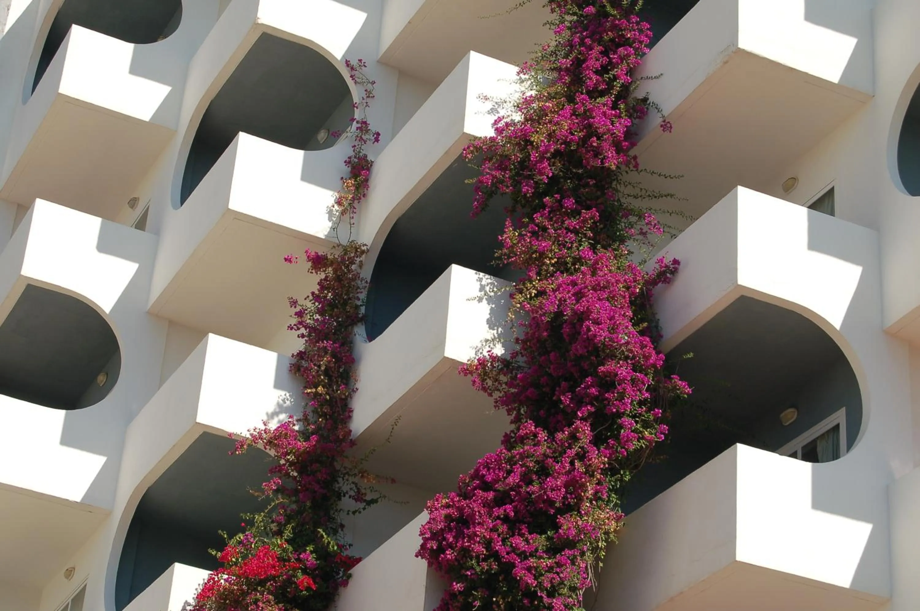 Facade/entrance in BG Pamplona