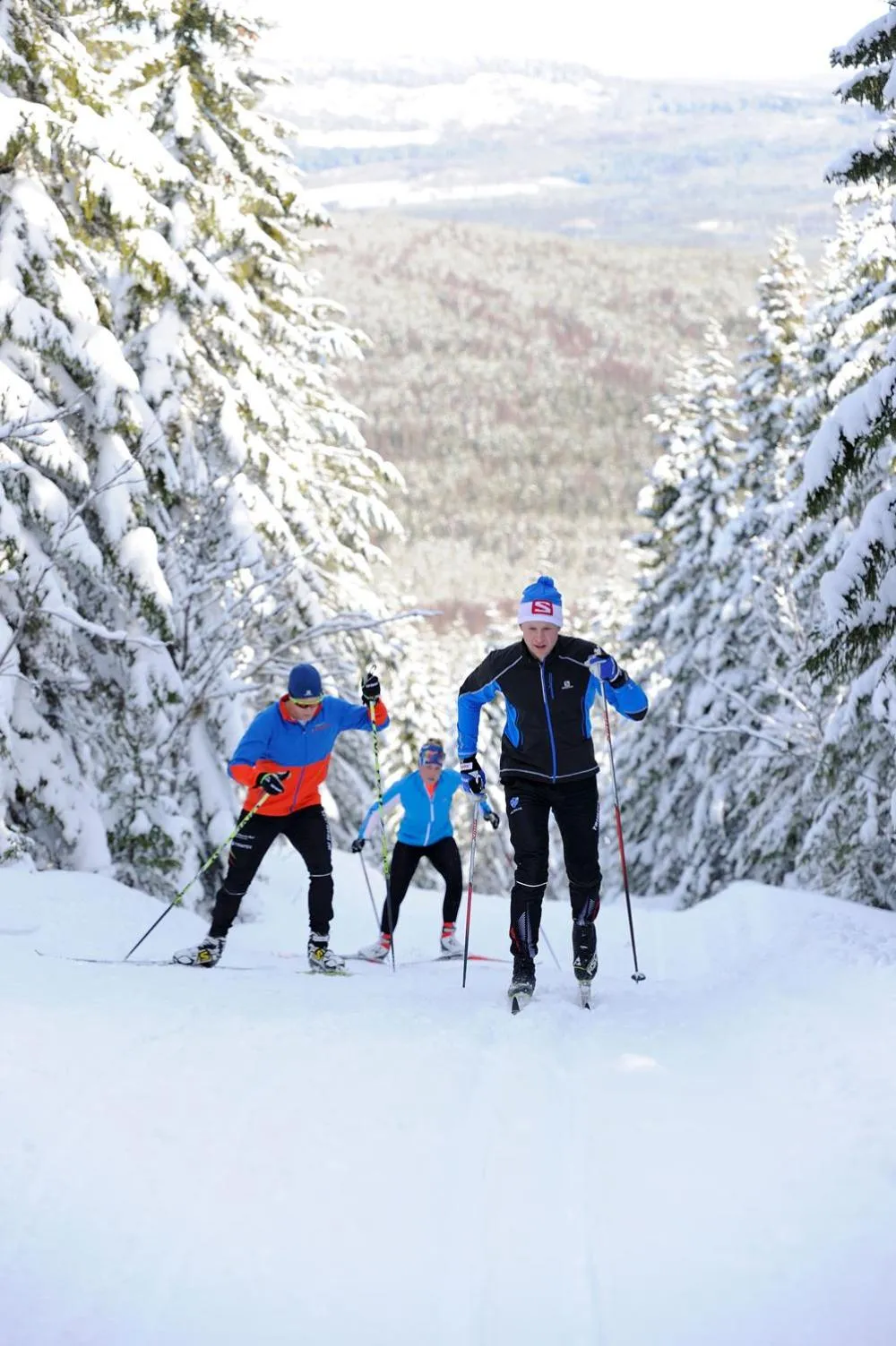 Natural landscape in First Camp Moraparken - Dalarna