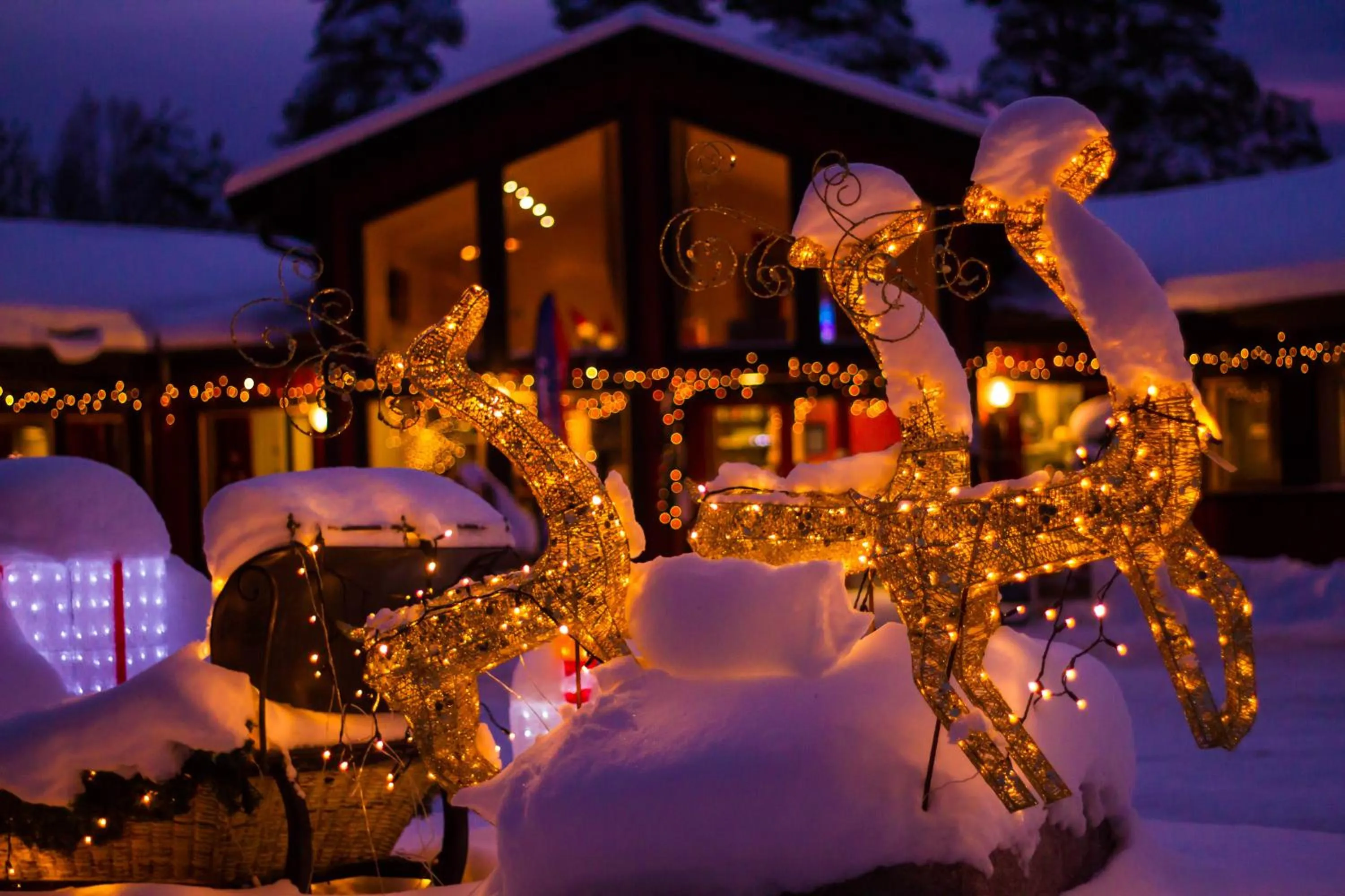 Facade/entrance in First Camp Moraparken - Dalarna