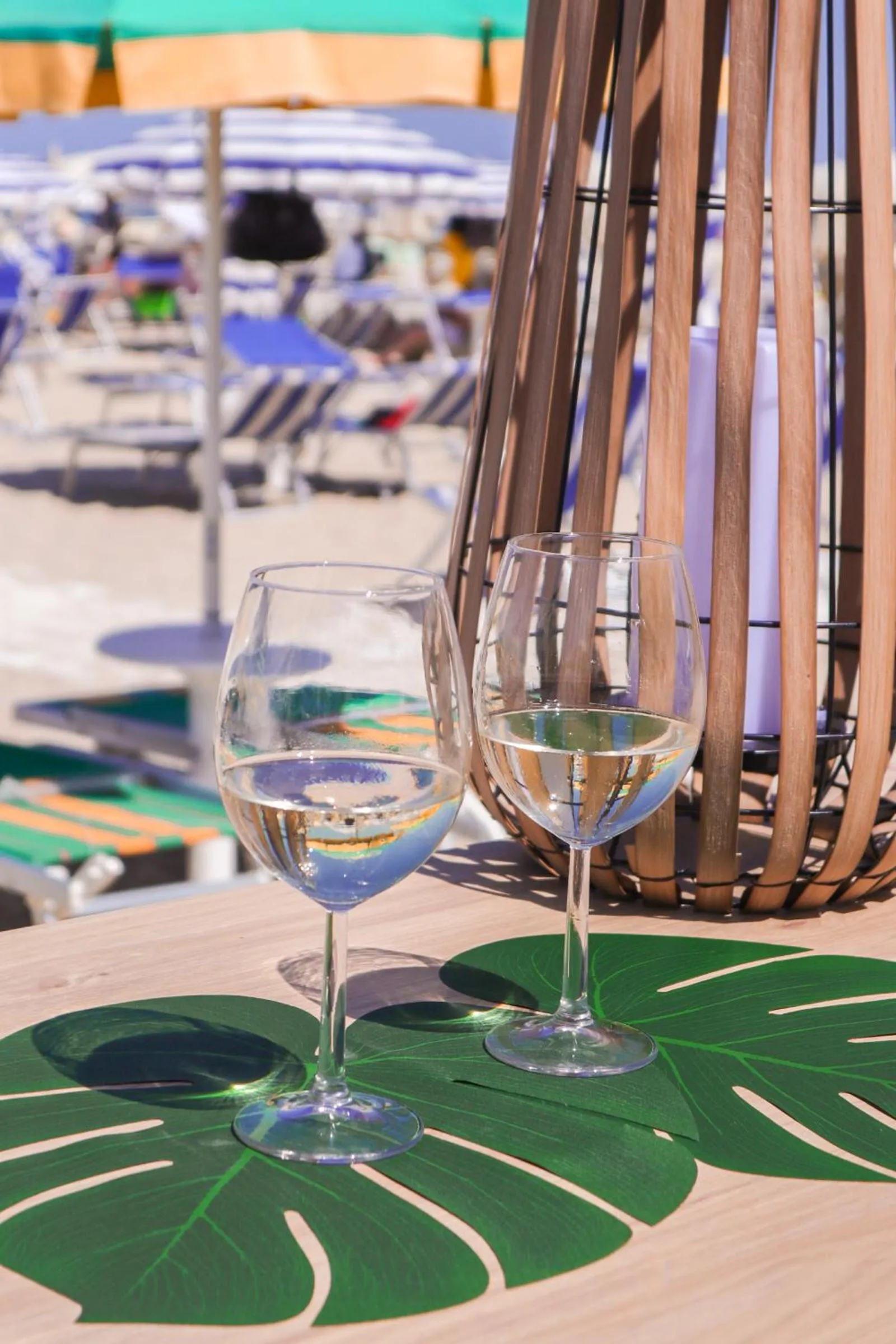 Hotel Mocambo piscina, spiaggia e biciclette