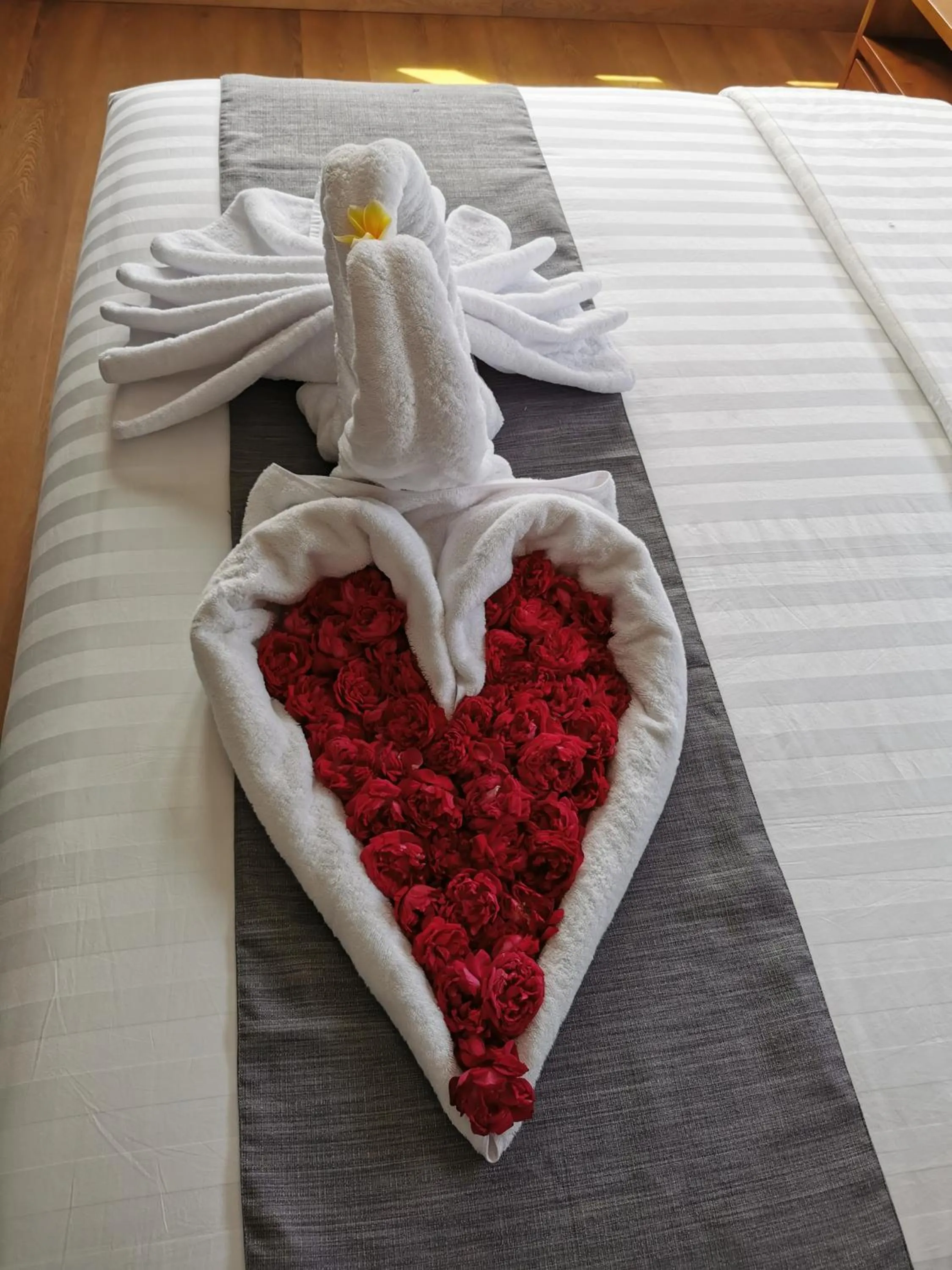 Suite with Pool View in Bukit Jaya Residence & Apartment Semarang