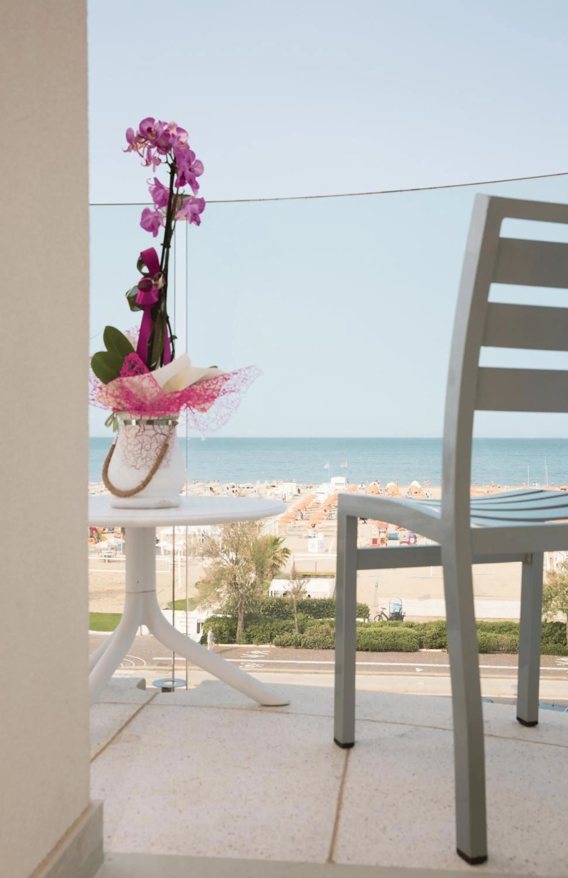 Property building in Hotel Ambassador