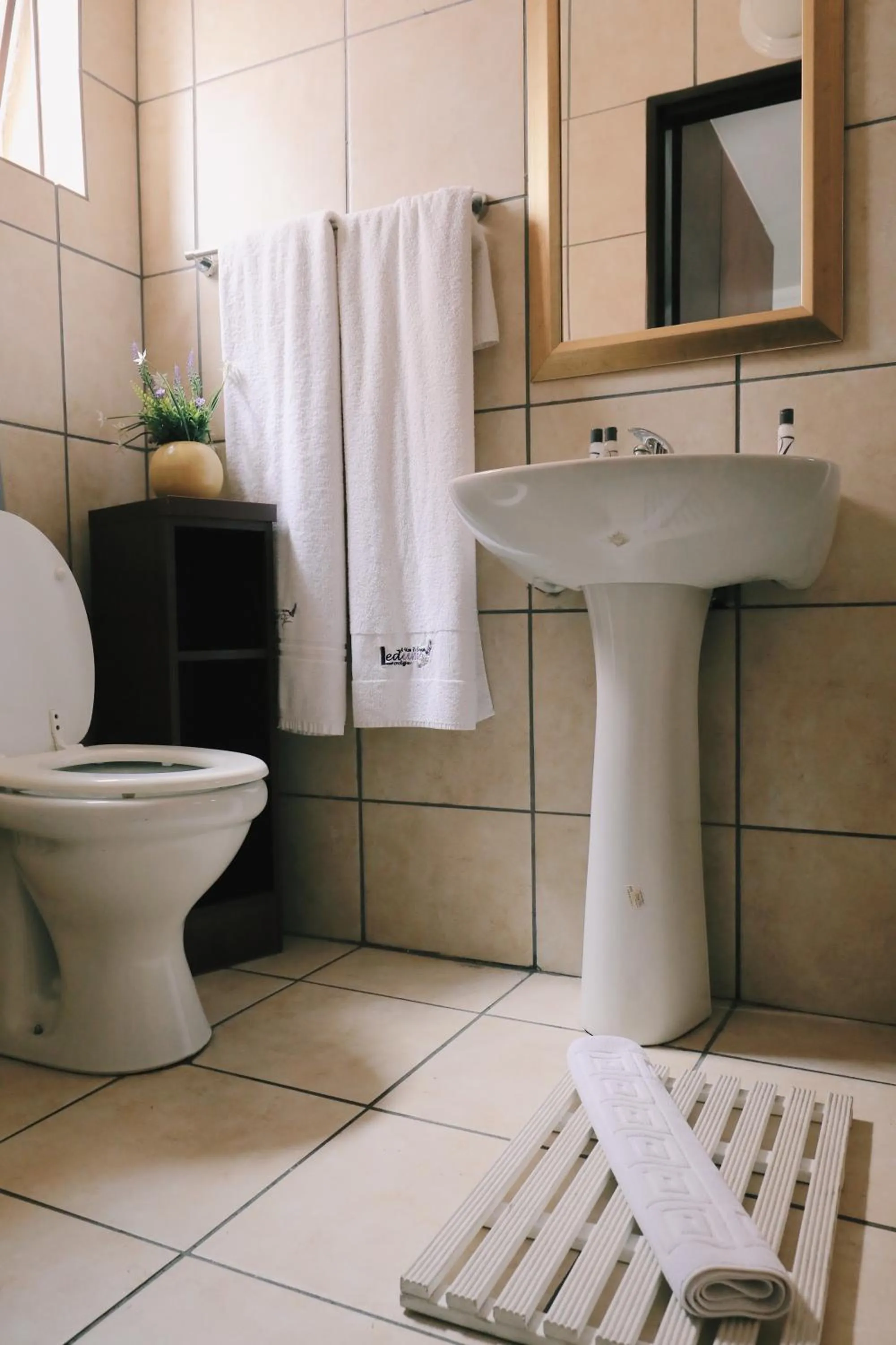 Bathroom in Ledumo Guest lodge