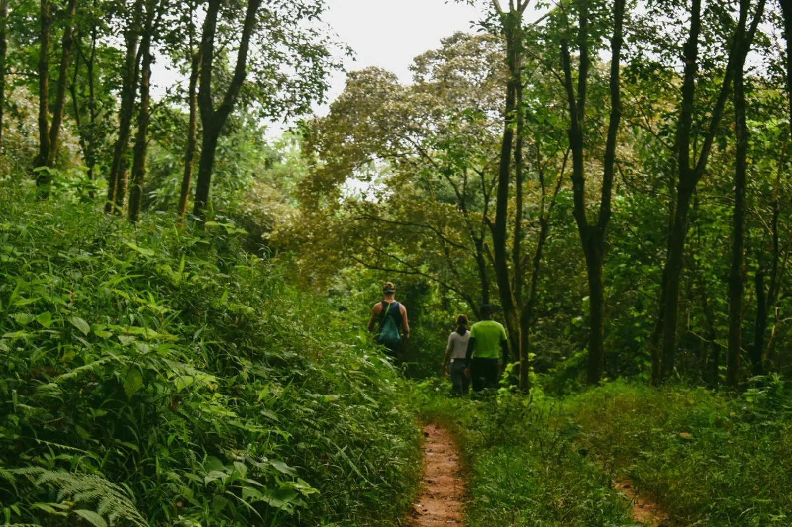 AHAS GAWWA Eco Lodge
