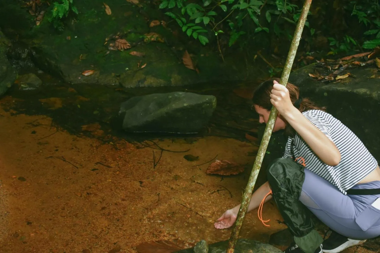 AHAS GAWWA Eco Lodge