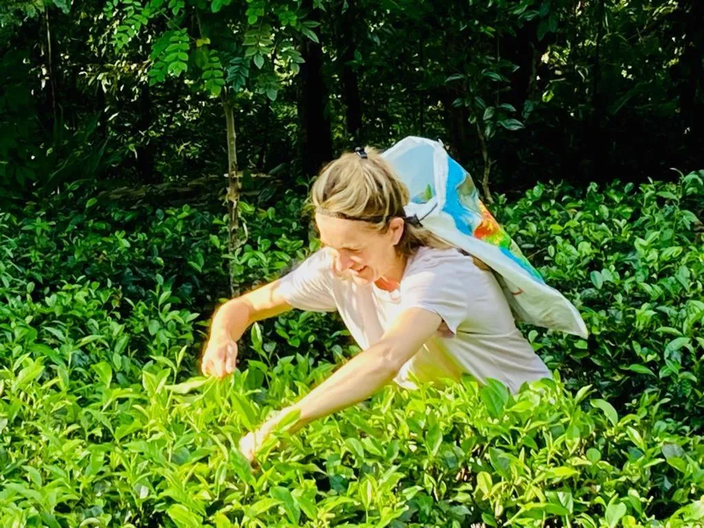 AHAS GAWWA Eco Lodge