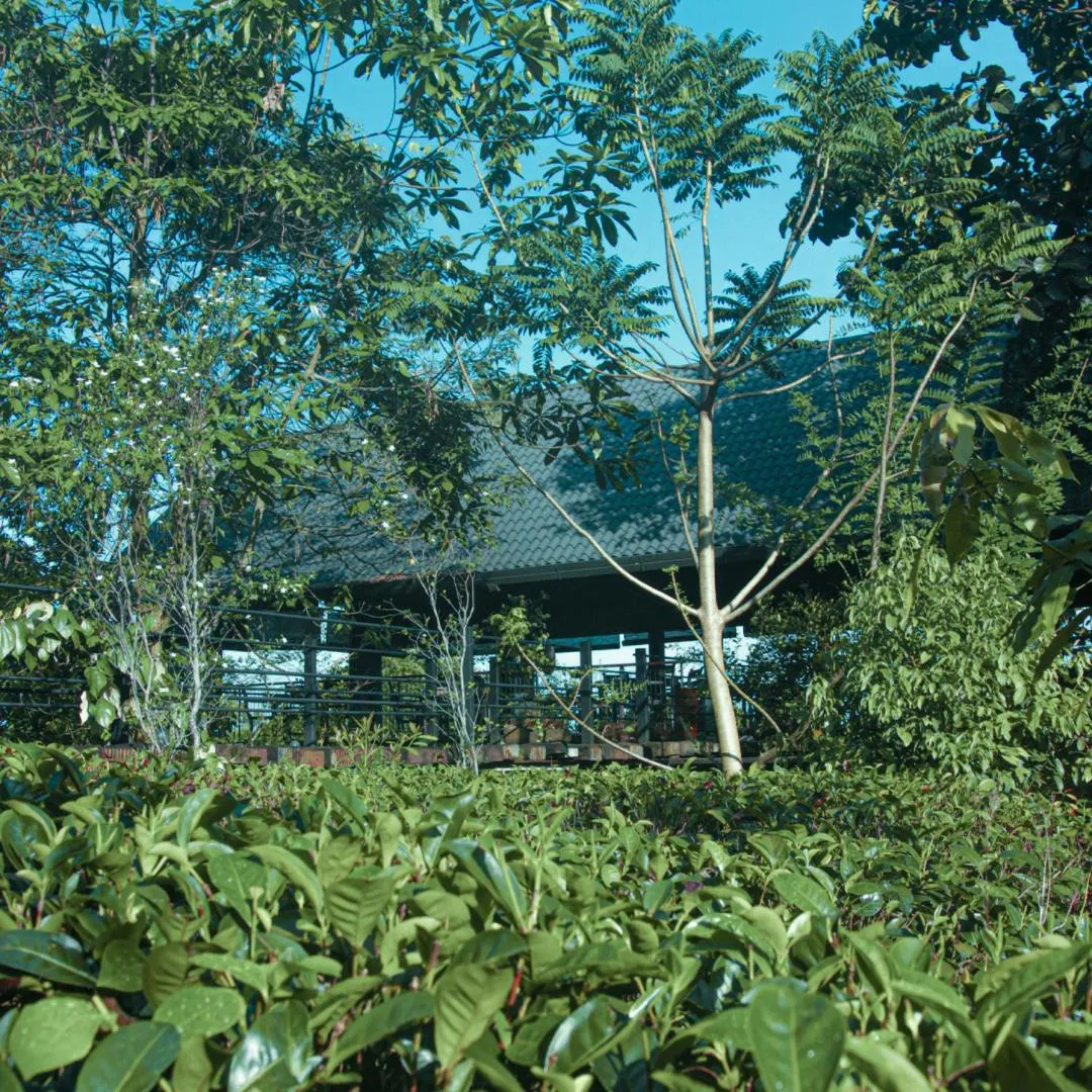 AHAS GAWWA Eco Lodge
