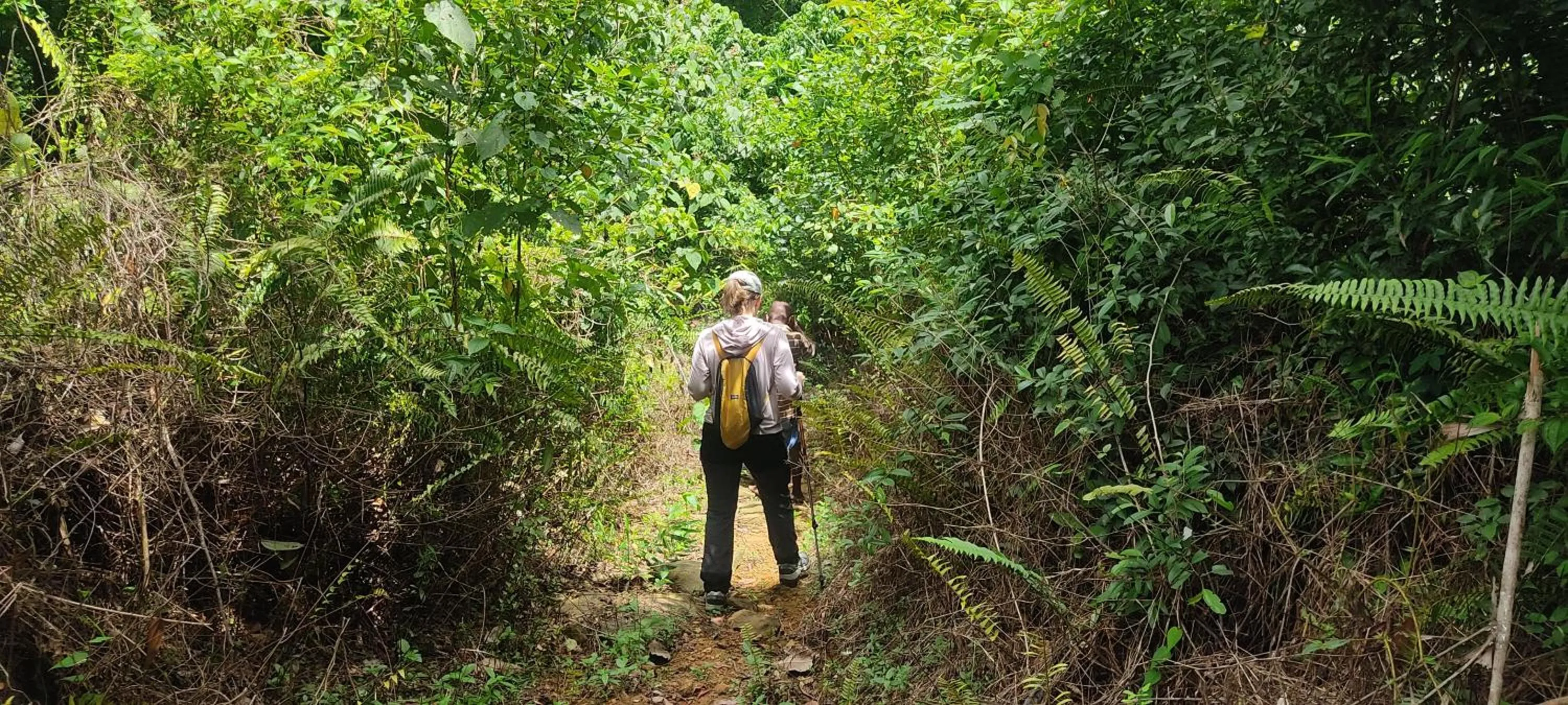 AHAS GAWWA Eco Lodge