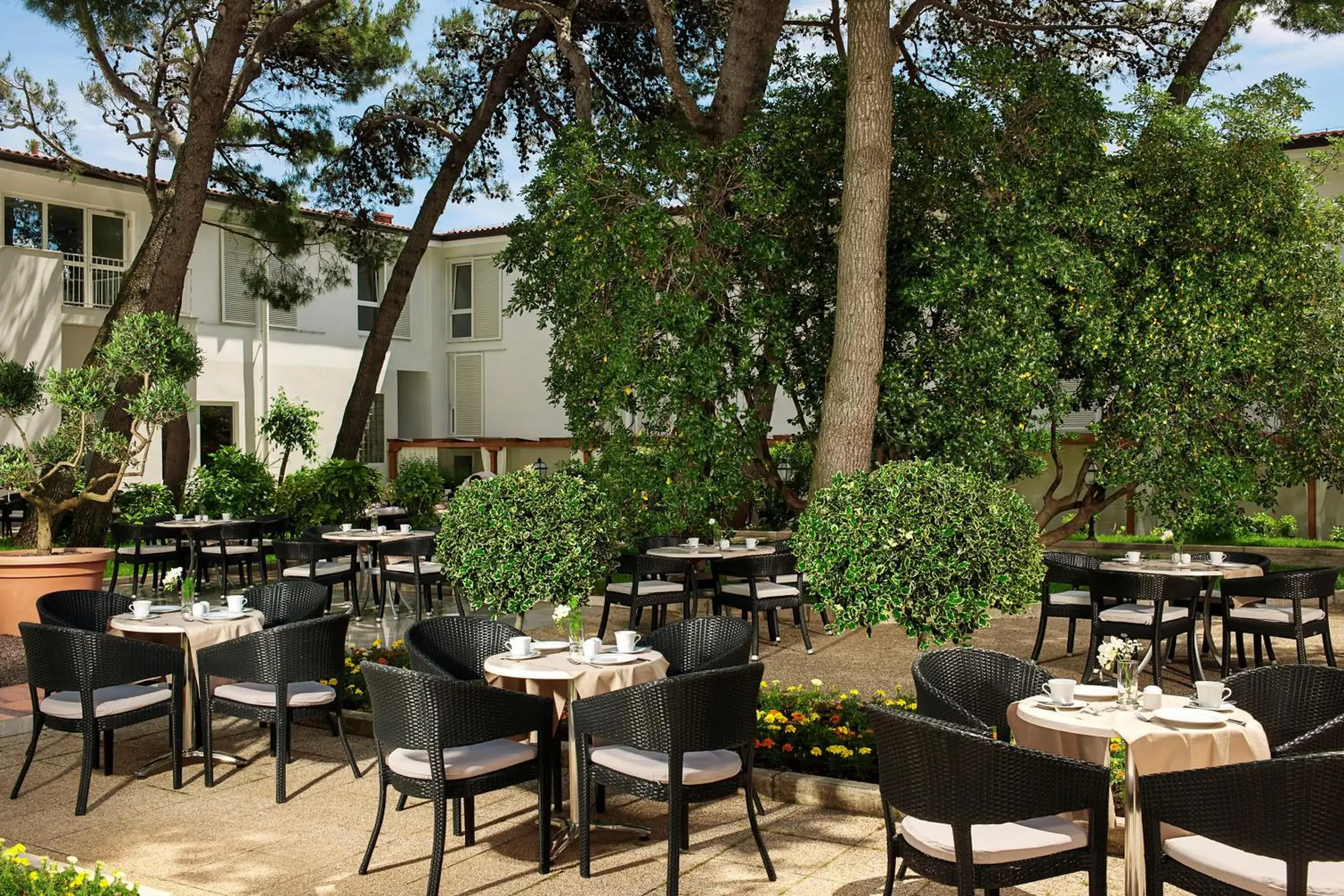 Lounge or bar in Valamar Sanfior Hotel & Casa Lounge or bar in Valamar Sanfior Hotel & Casa