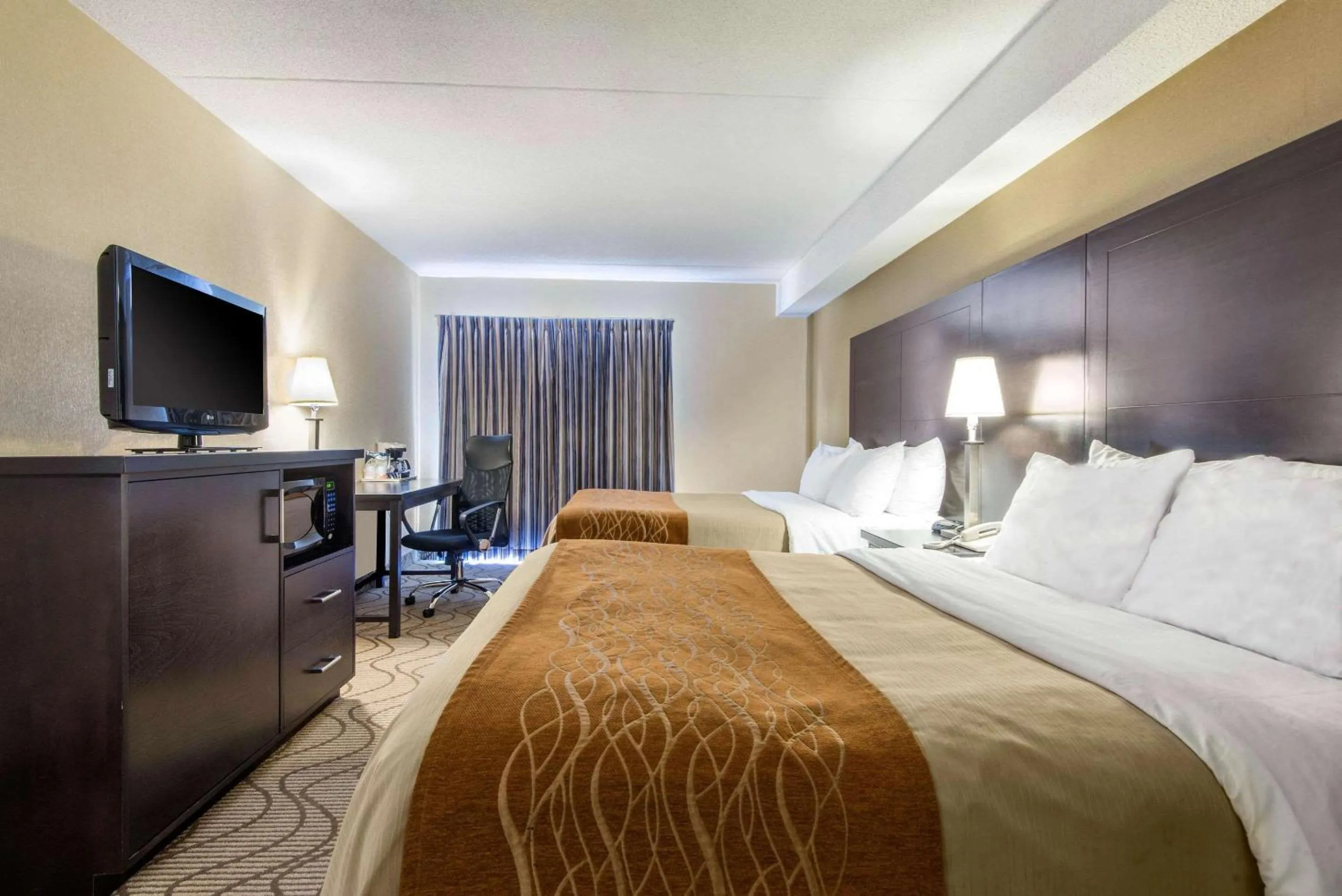 Photo of the whole room, Bed in Comfort Inn