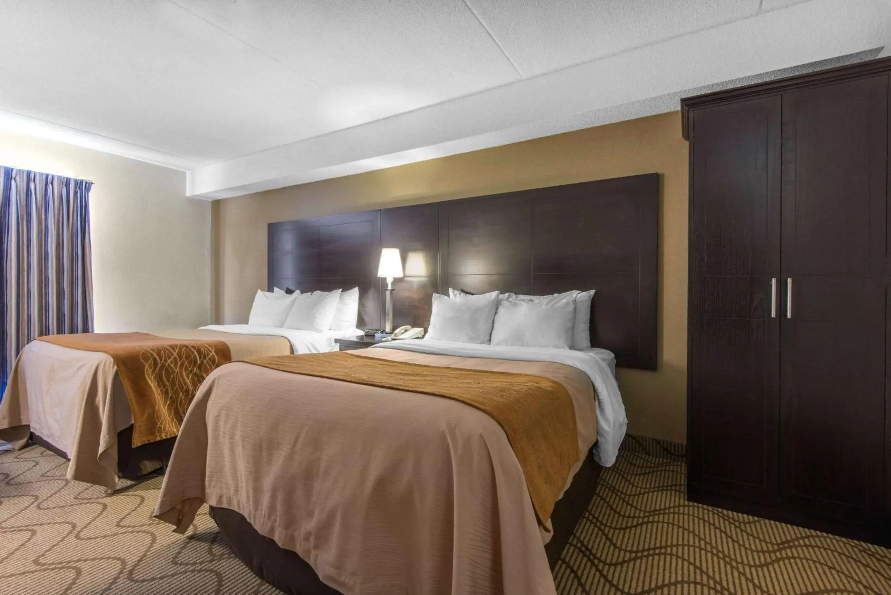 Photo of the whole room, Bed in Comfort Inn Photo of the whole room, Bed in Comfort Inn