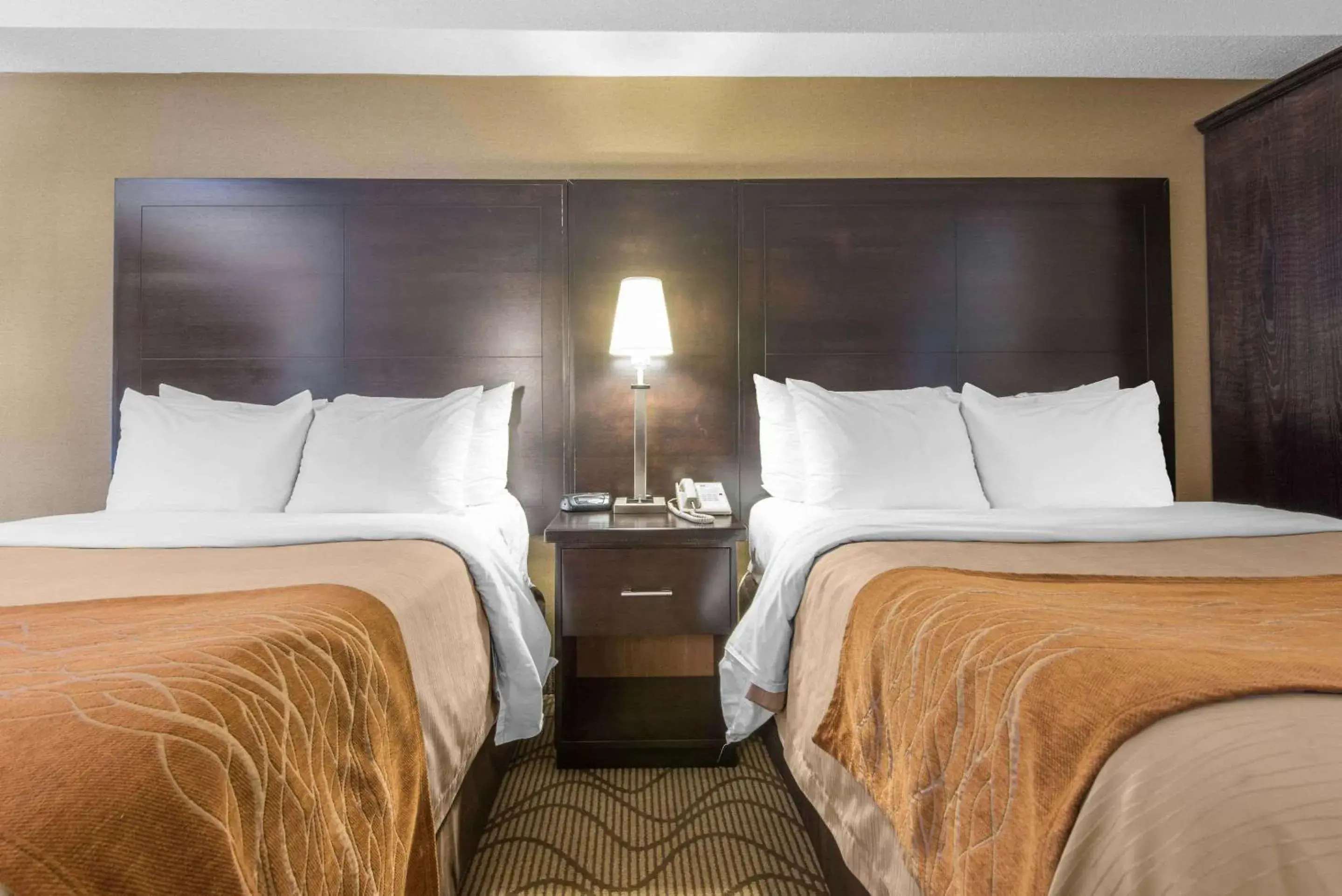 Photo of the whole room, Bed in Comfort Inn Photo of the whole room, Bed in Comfort Inn