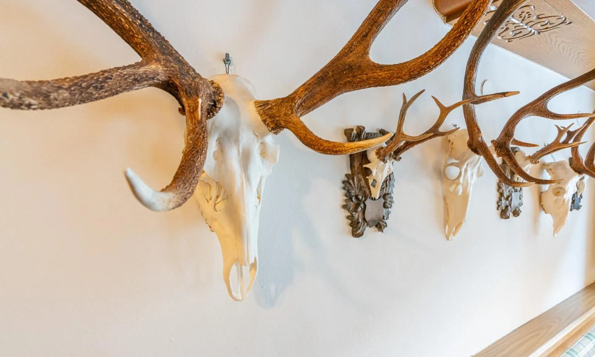 Decorative detail in Hotel Wechselberger by Alpeffect Hotels