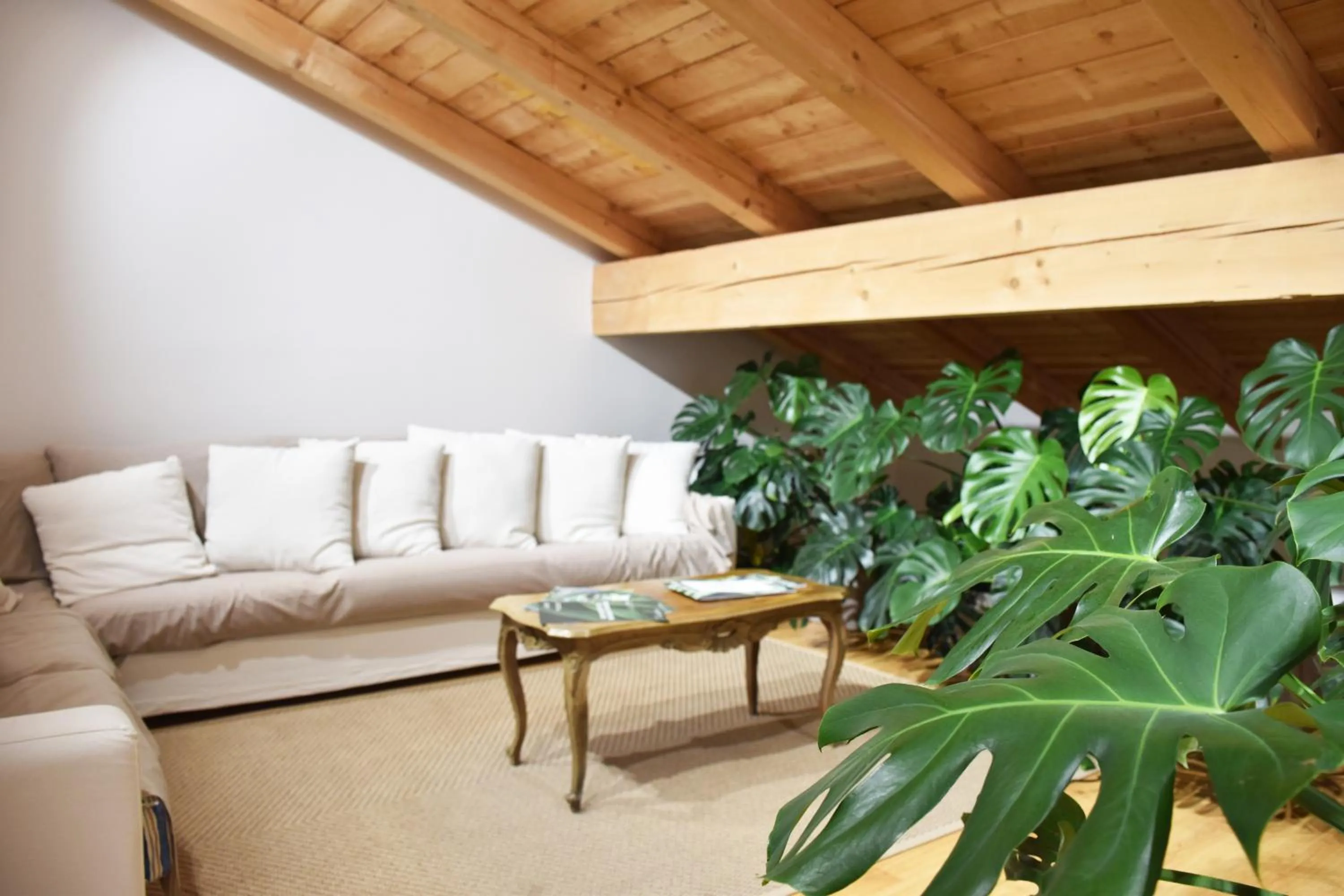 Living room in Venicegreen Agriresort