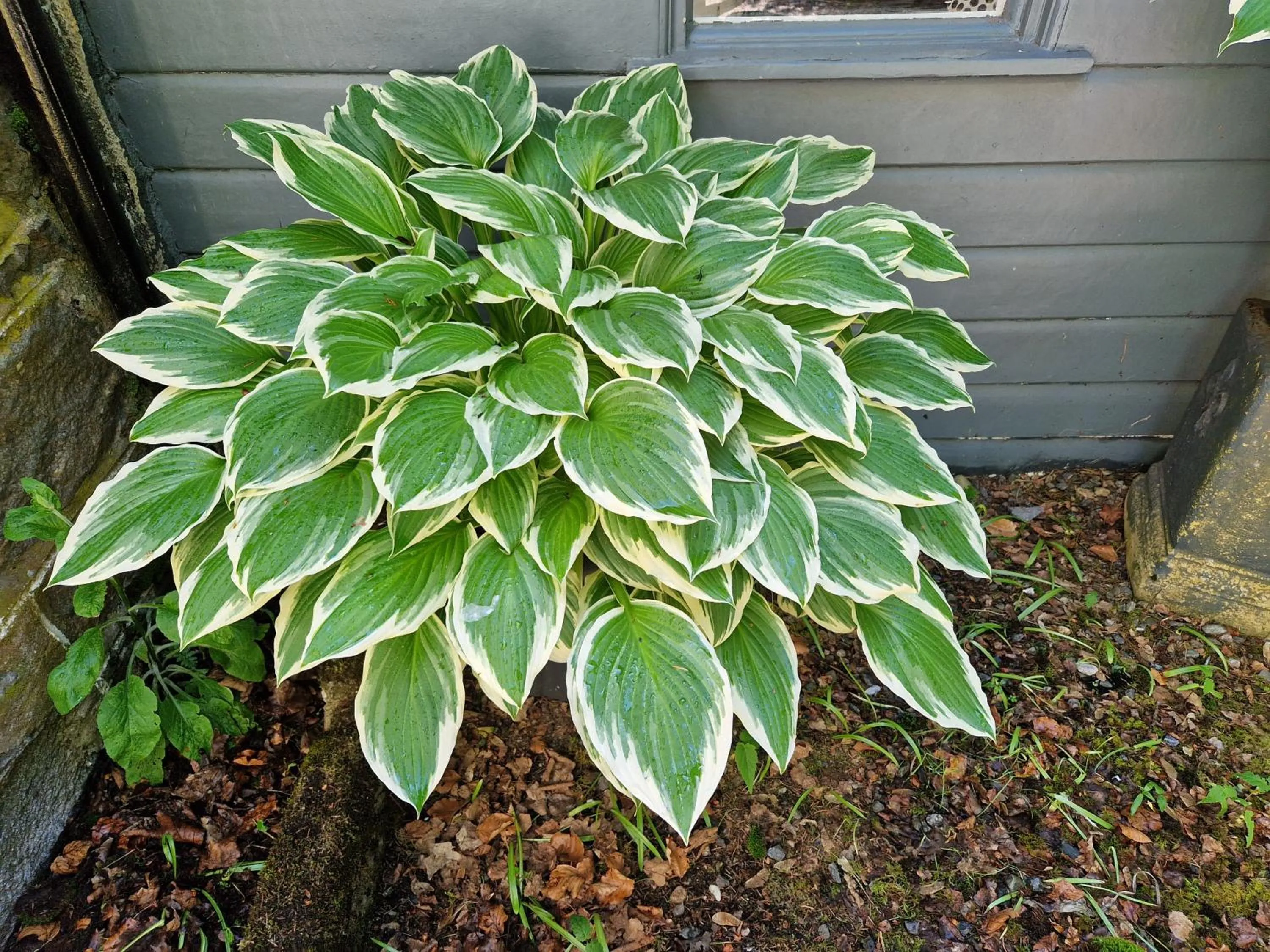 Eagle View Guest House