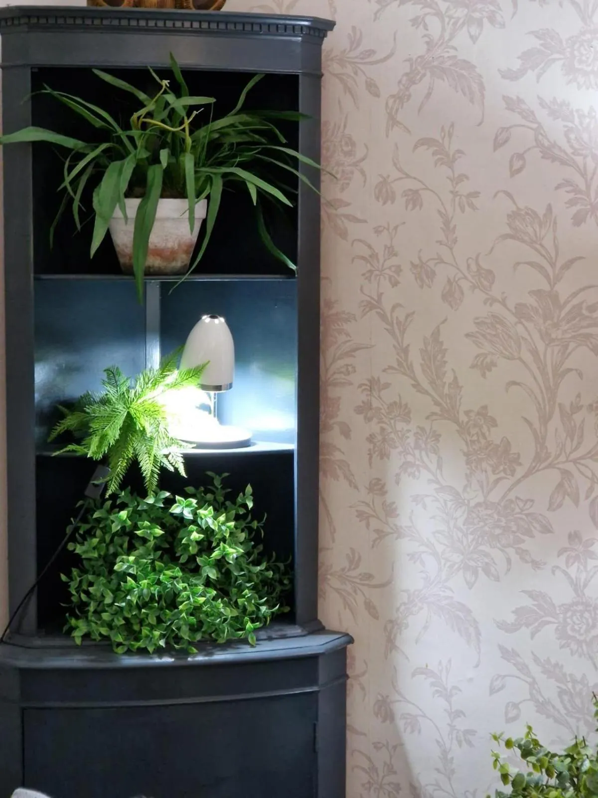 Eagle View Guest House