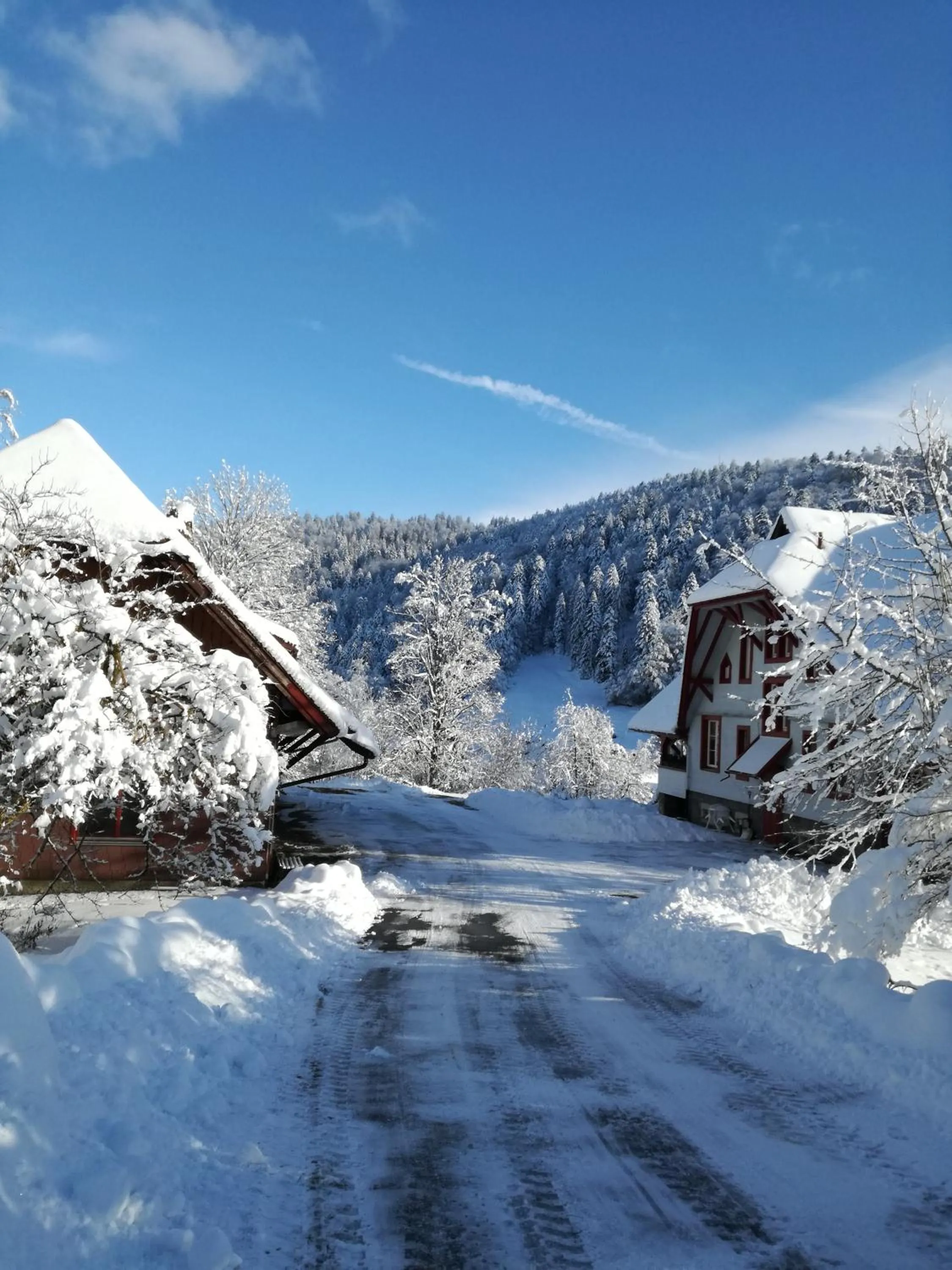 Other in Hotel La Quinta - adults only