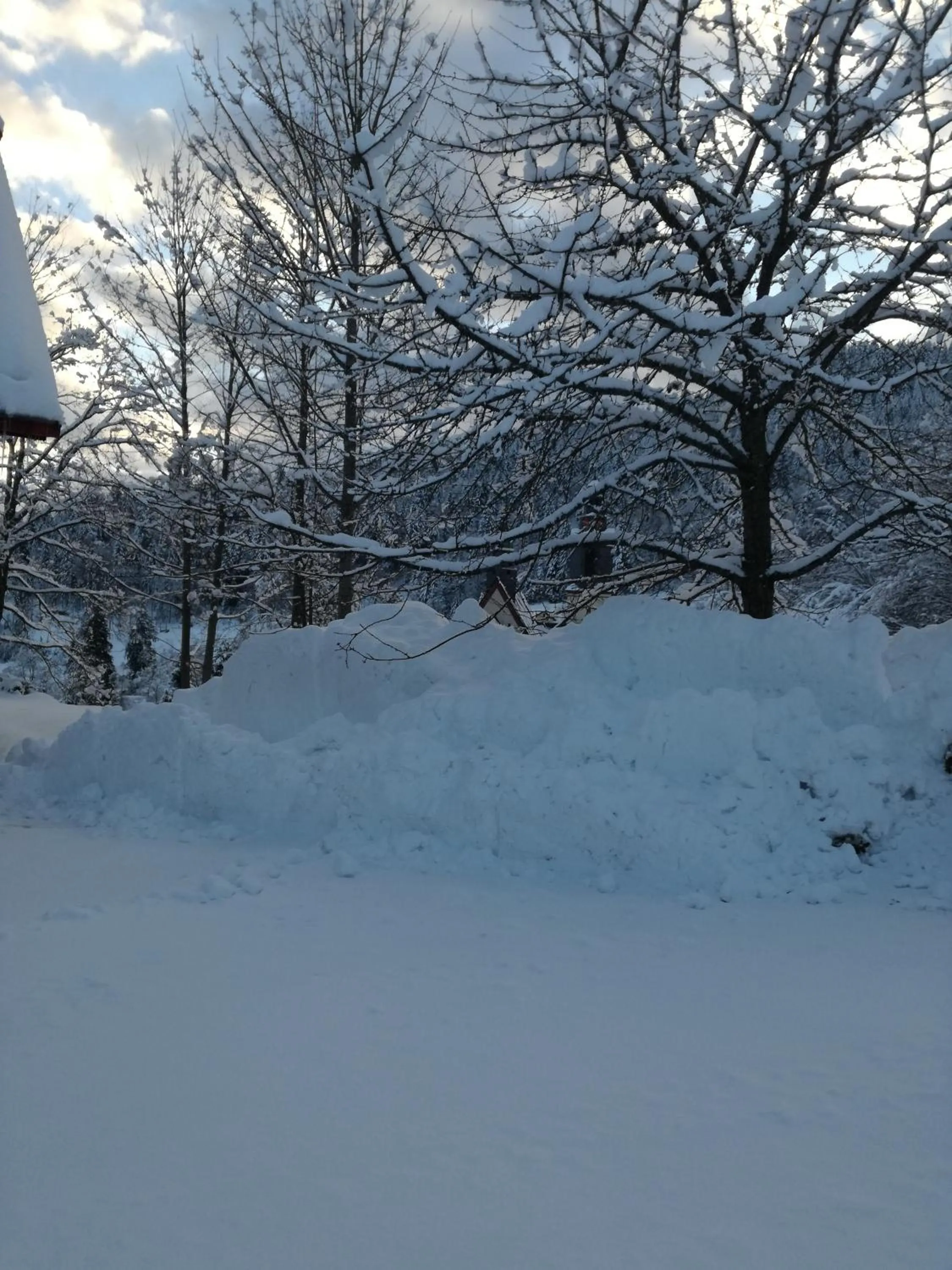 Other in Hotel La Quinta - adults only