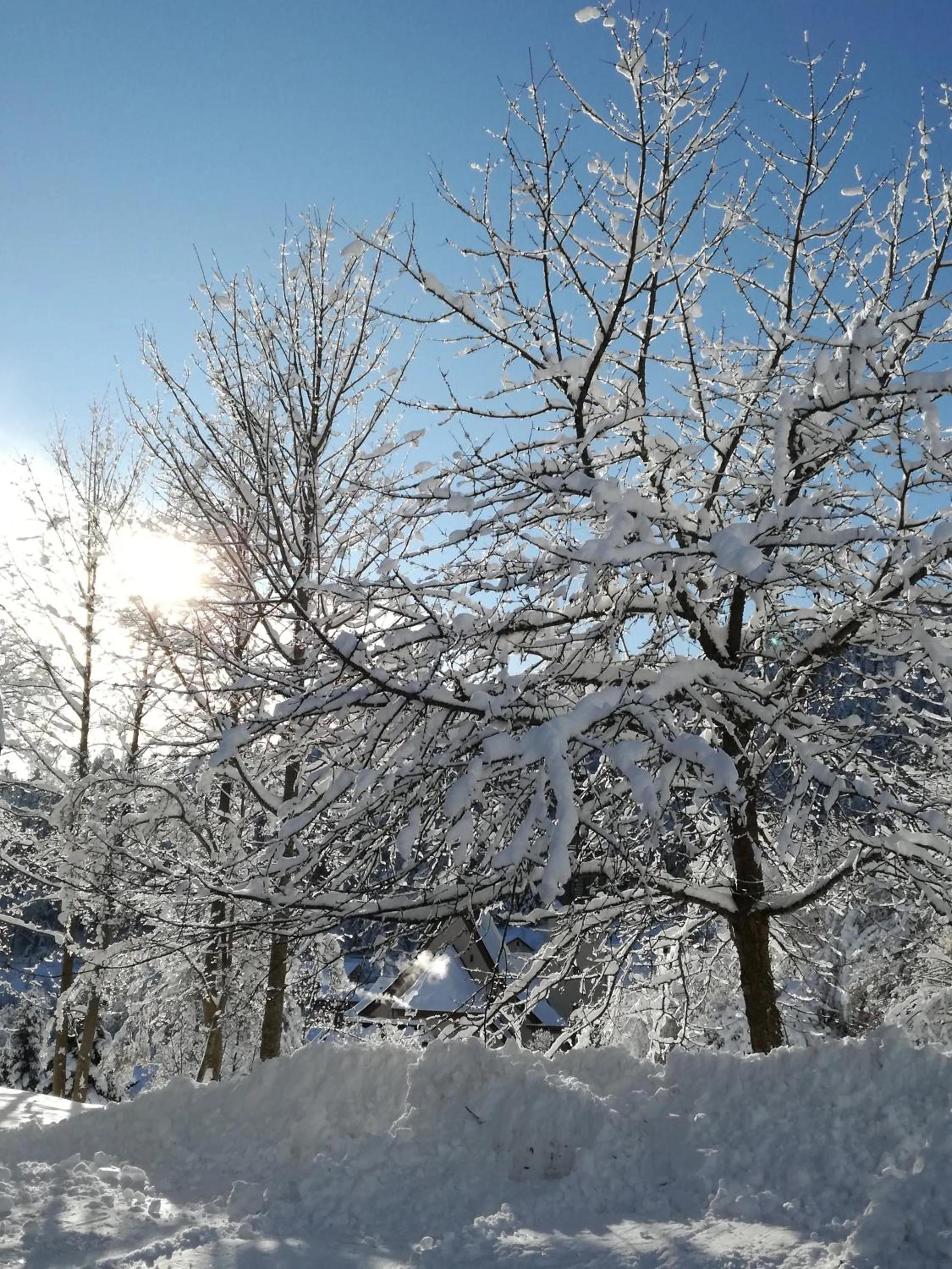 Other in Hotel La Quinta - adults only