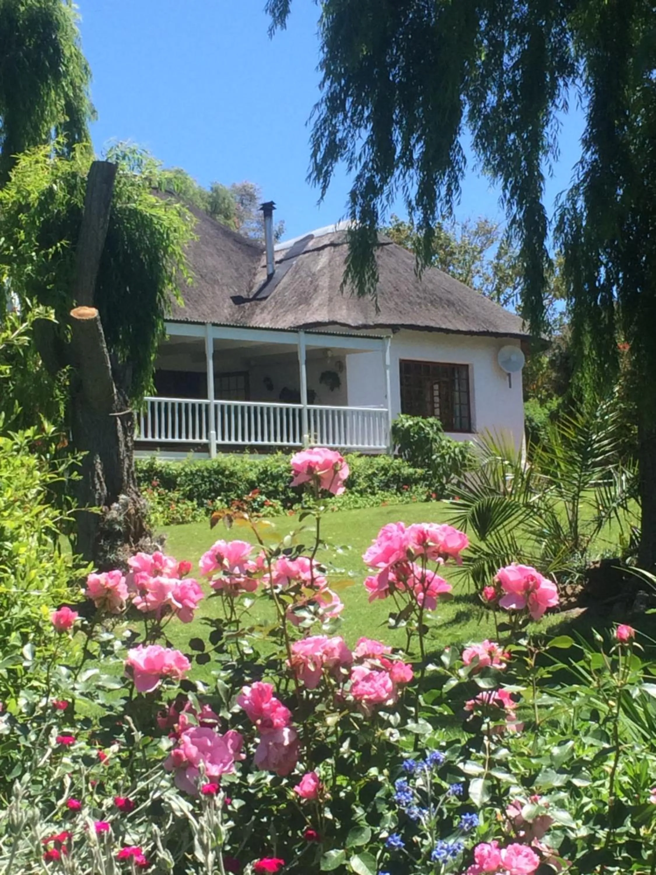 Acara Guesthouse & Cottages