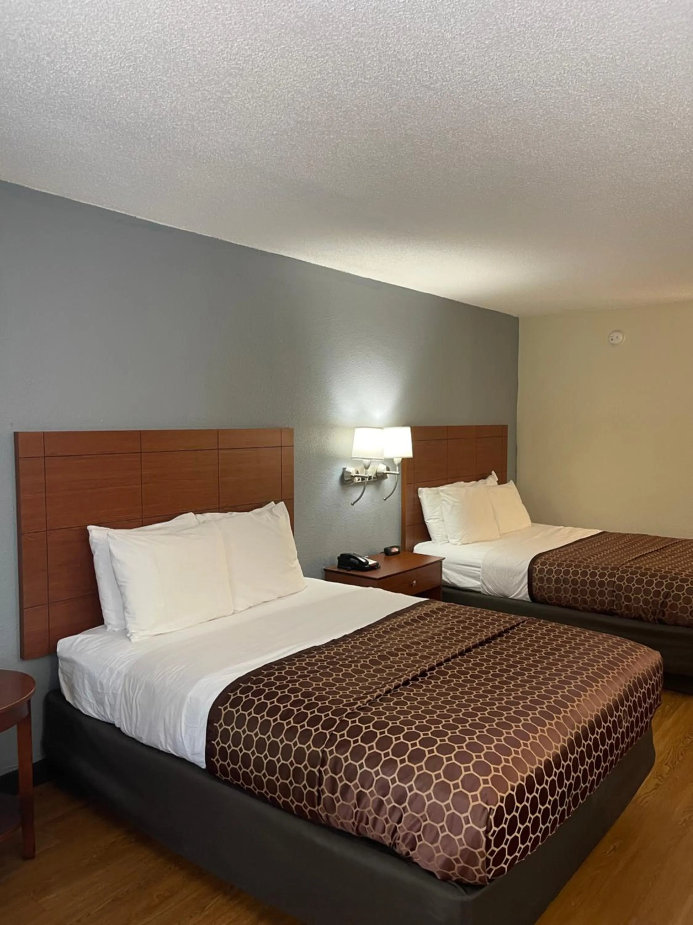Guests, Bed in Best Western Tallahassee Downtown Inn and Suites