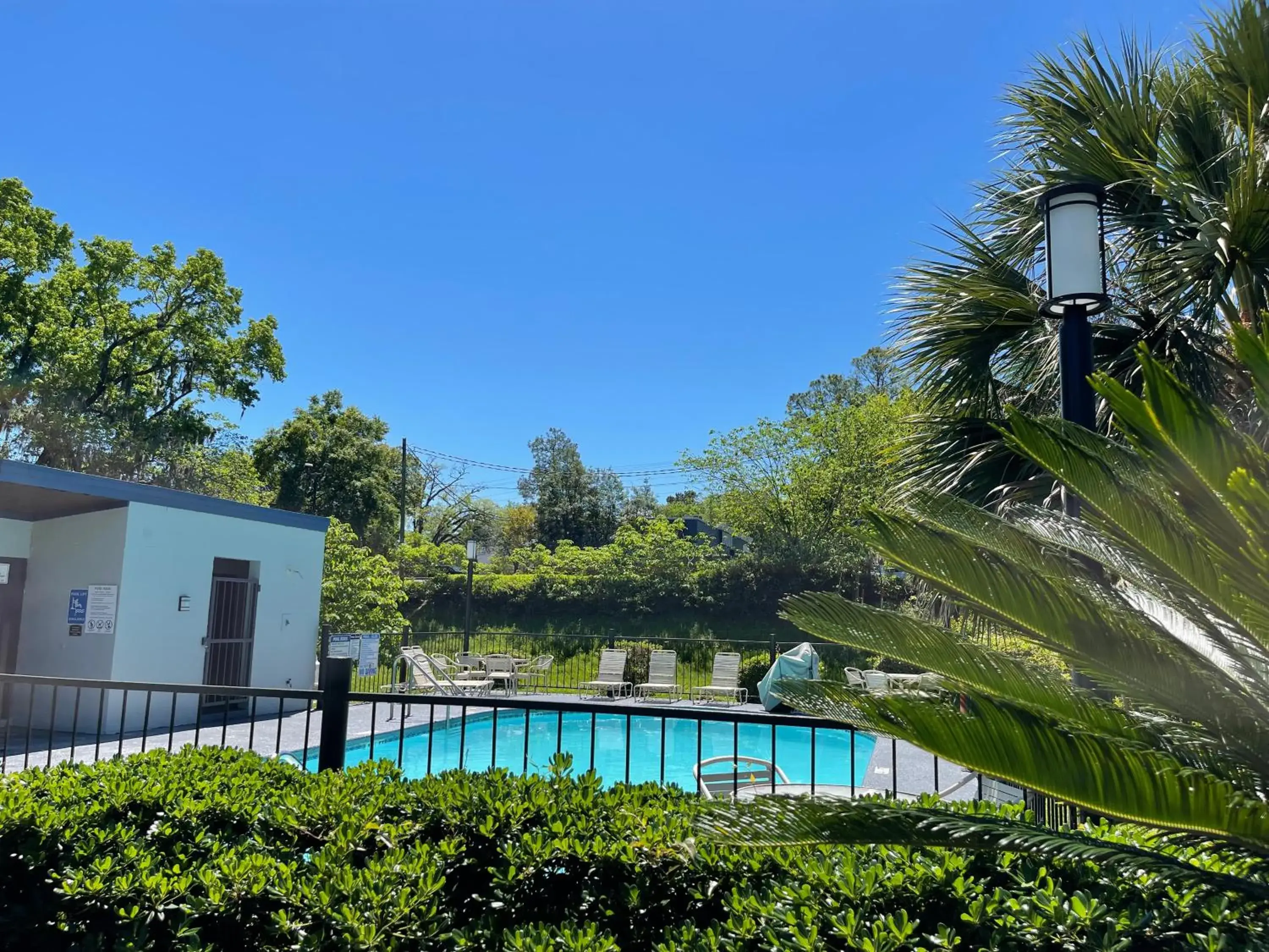 Swimming pool in Best Western Tallahassee Downtown Inn and Suites Swimming pool in Best Western Tallahassee Downtown Inn and Suites