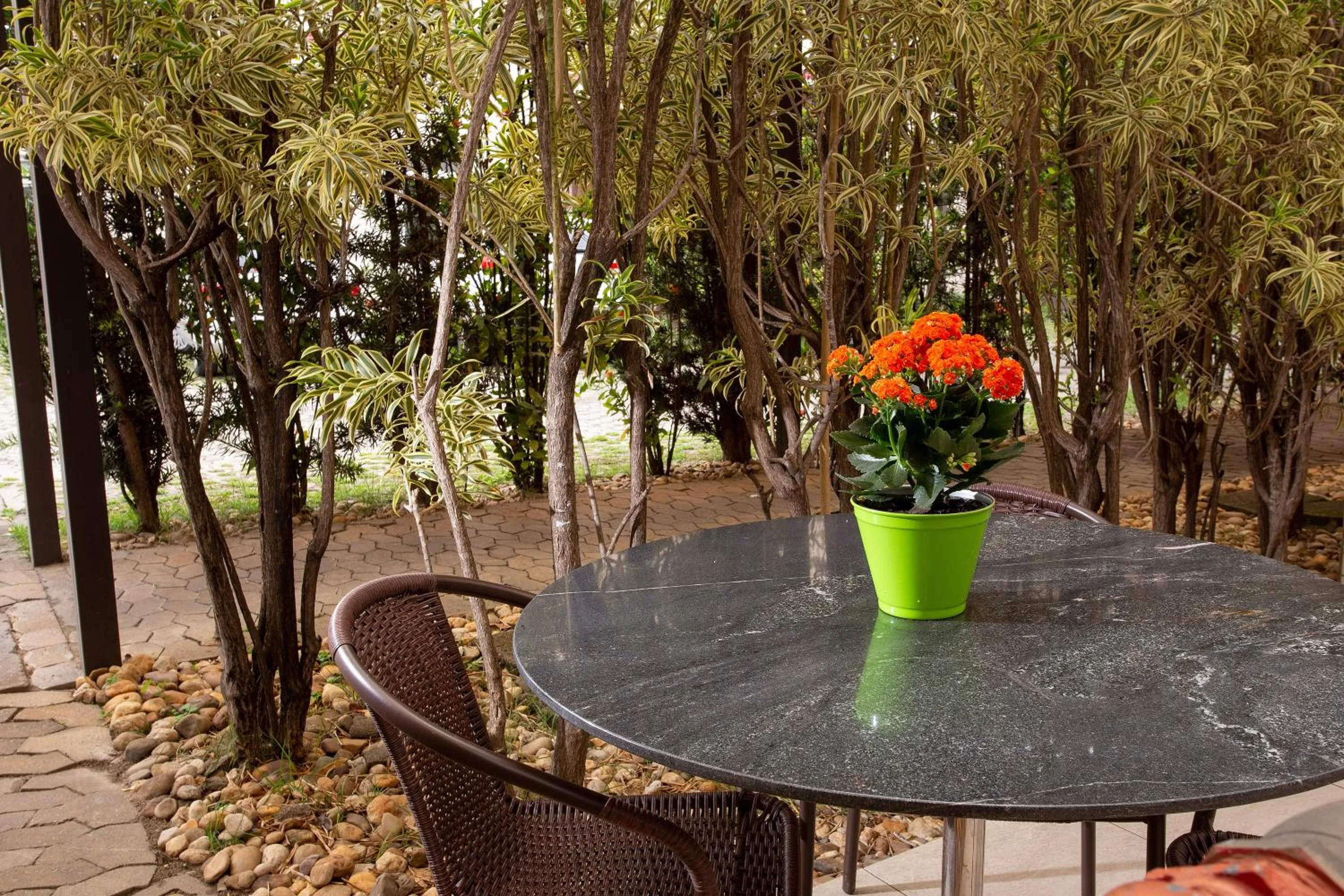 Garden in Pampulha Flat