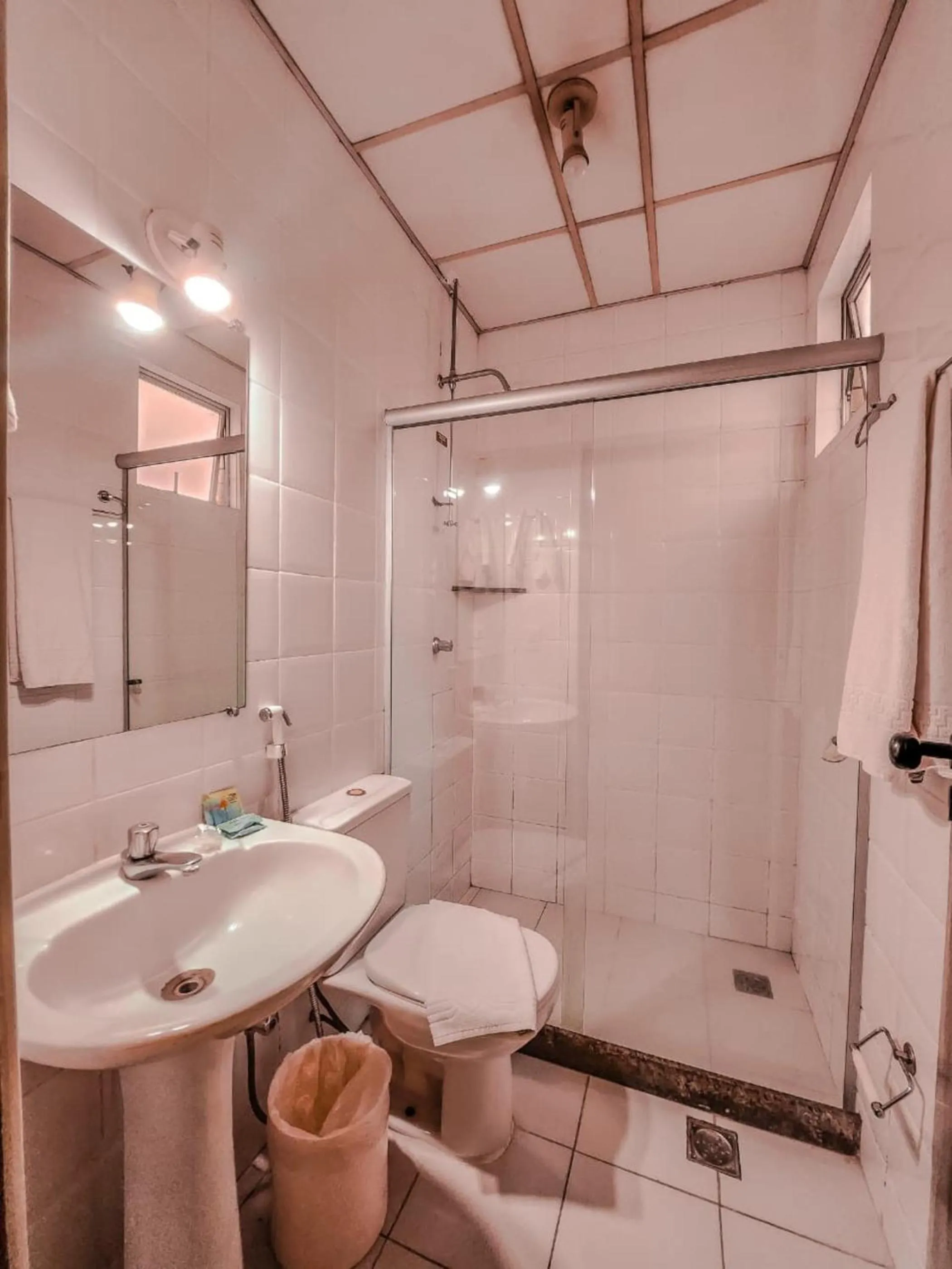 Shower in Pampulha Flat