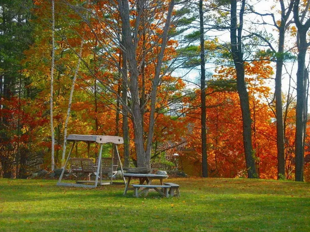 Autumn, Garden in Knights Inn Lenox