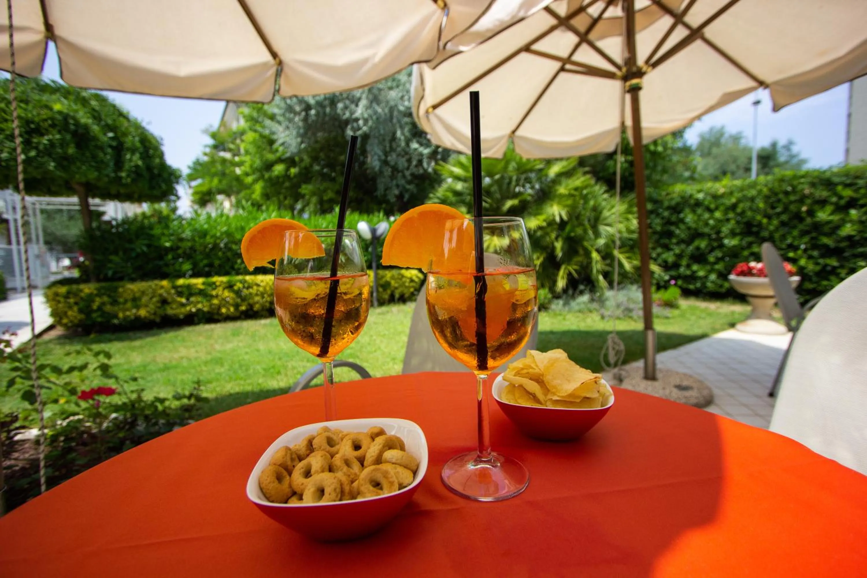 Garden in Hotel Bahama
