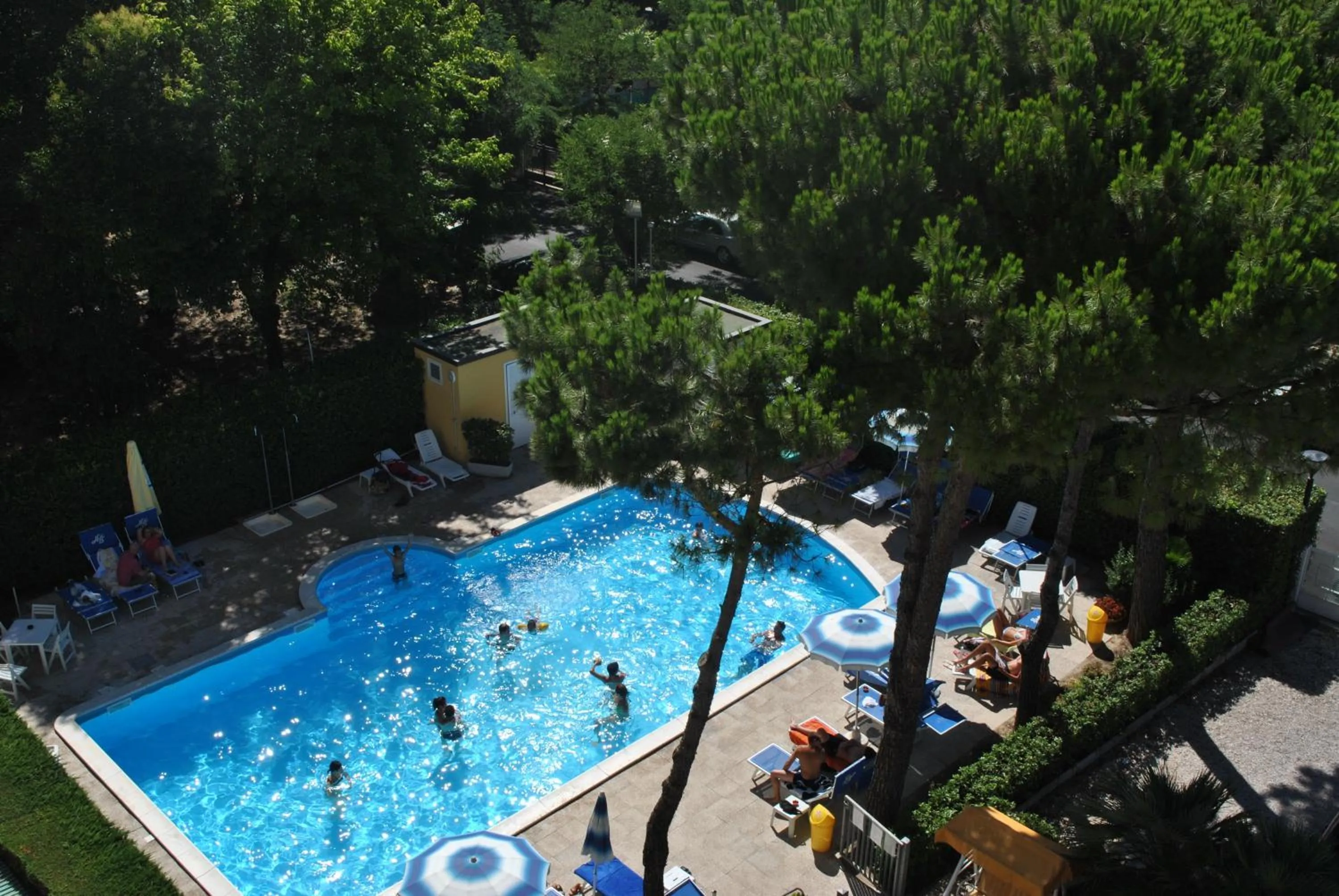 Swimming pool in Hotel Bahama