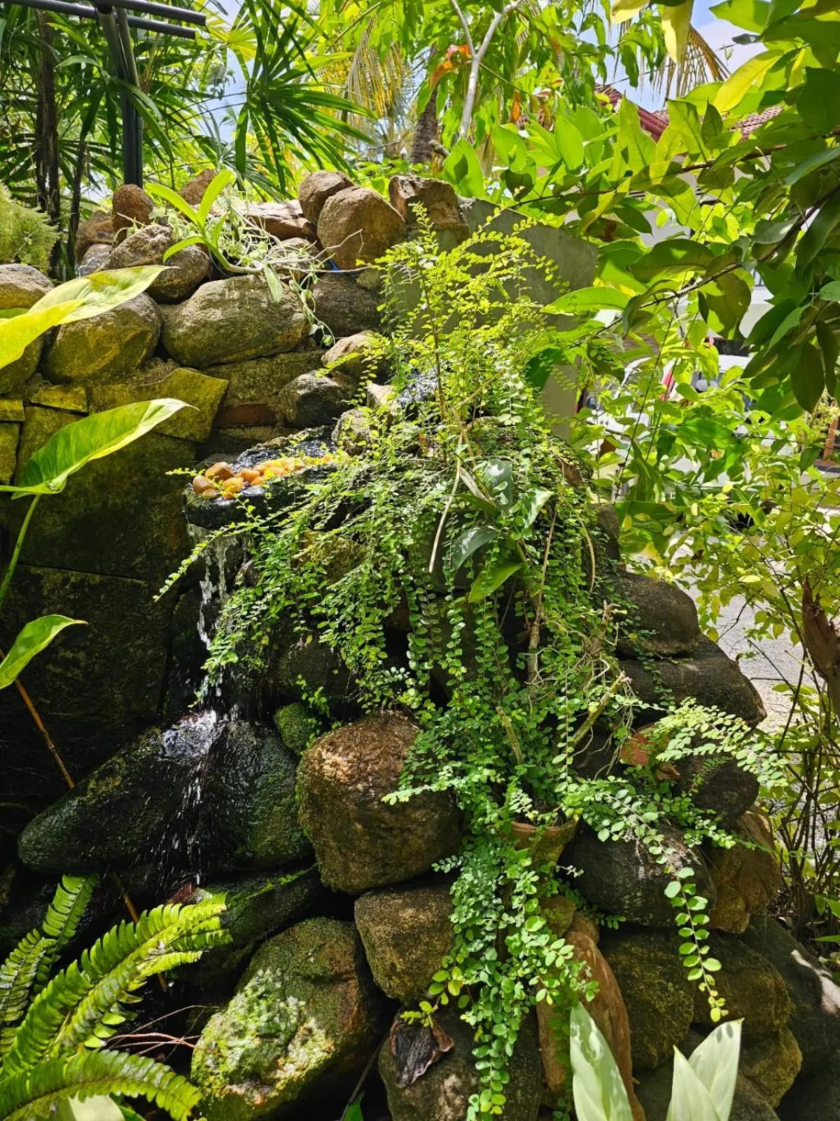 Natural landscape in Optimum Residencies