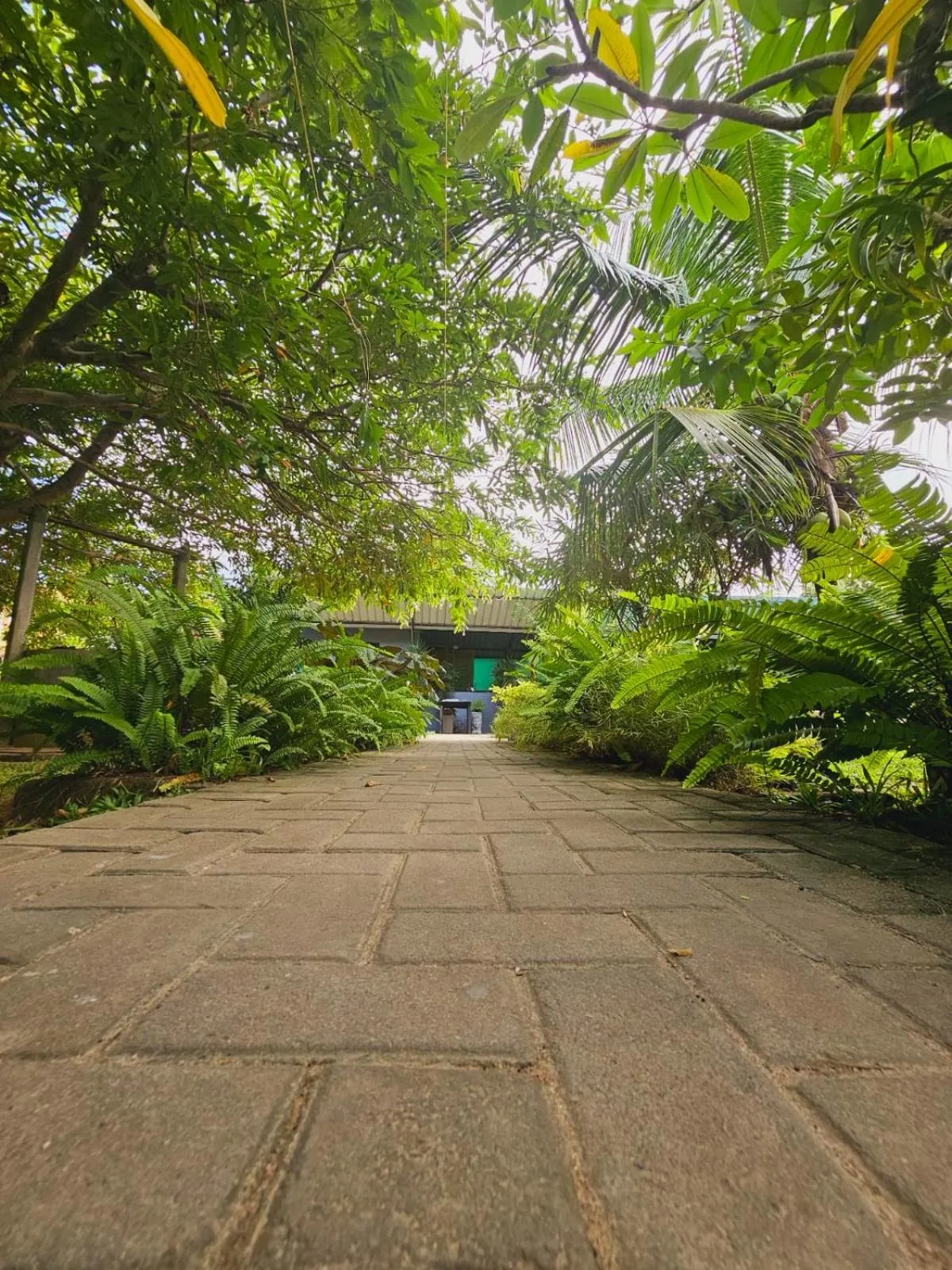 Natural landscape in Optimum Residencies