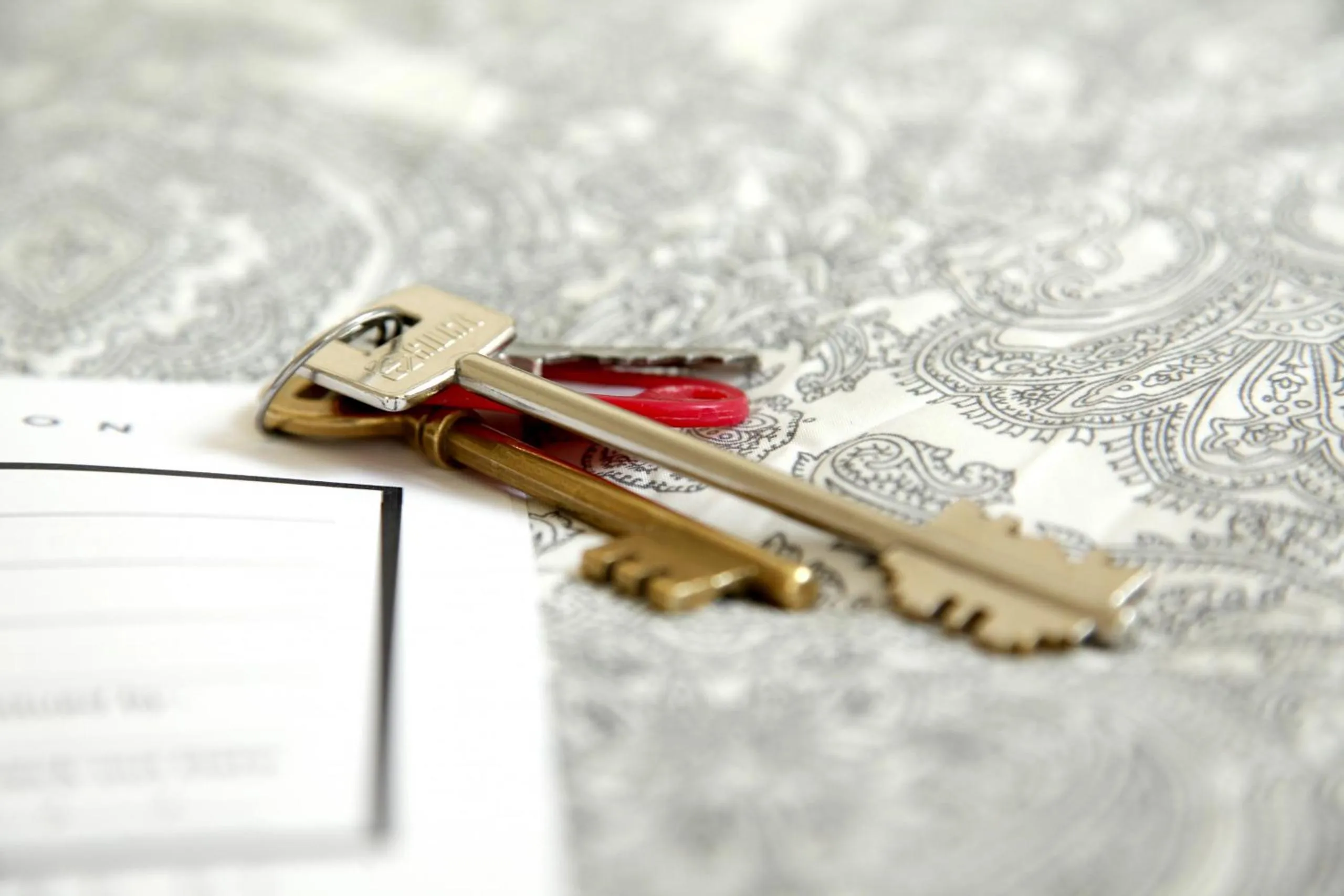 Decorative detail in The Color Hostel