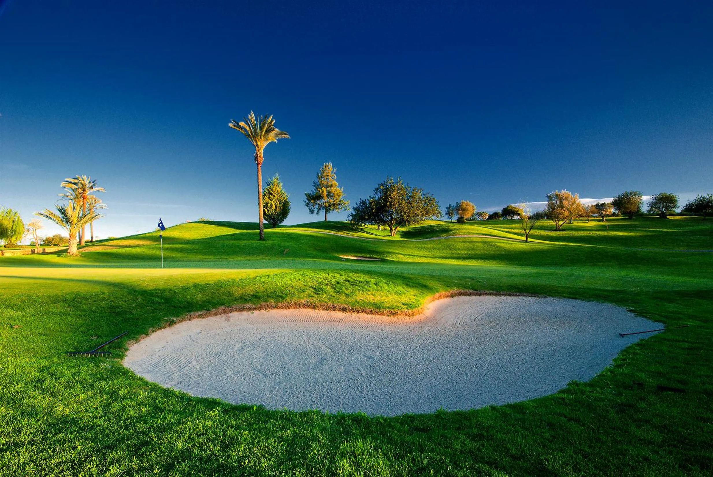 Golfcourse in Pestana Gramacho Residences