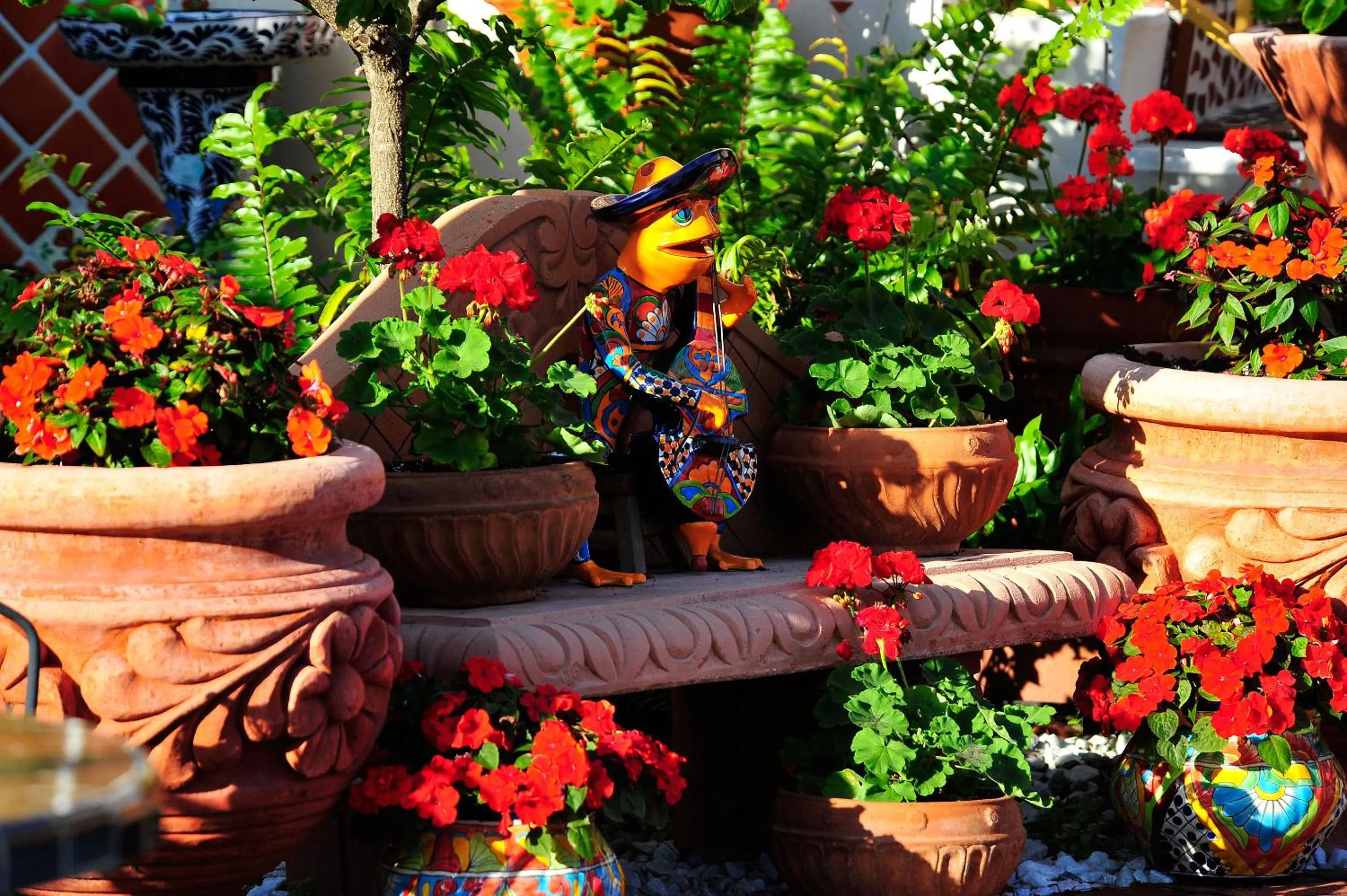 Garden in Blue Seas Courtyard