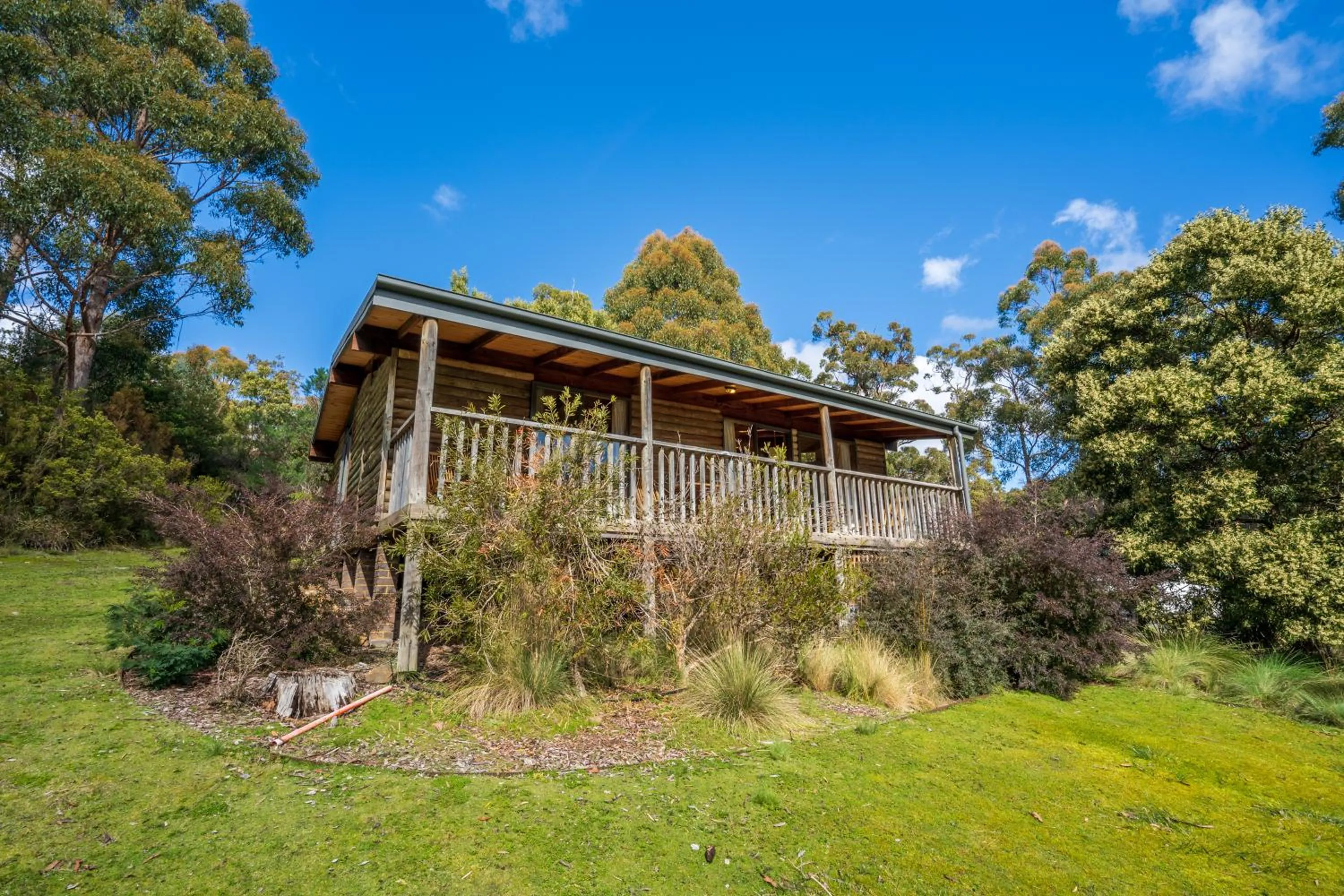 Natural landscape in Stewarts Bay Lodge