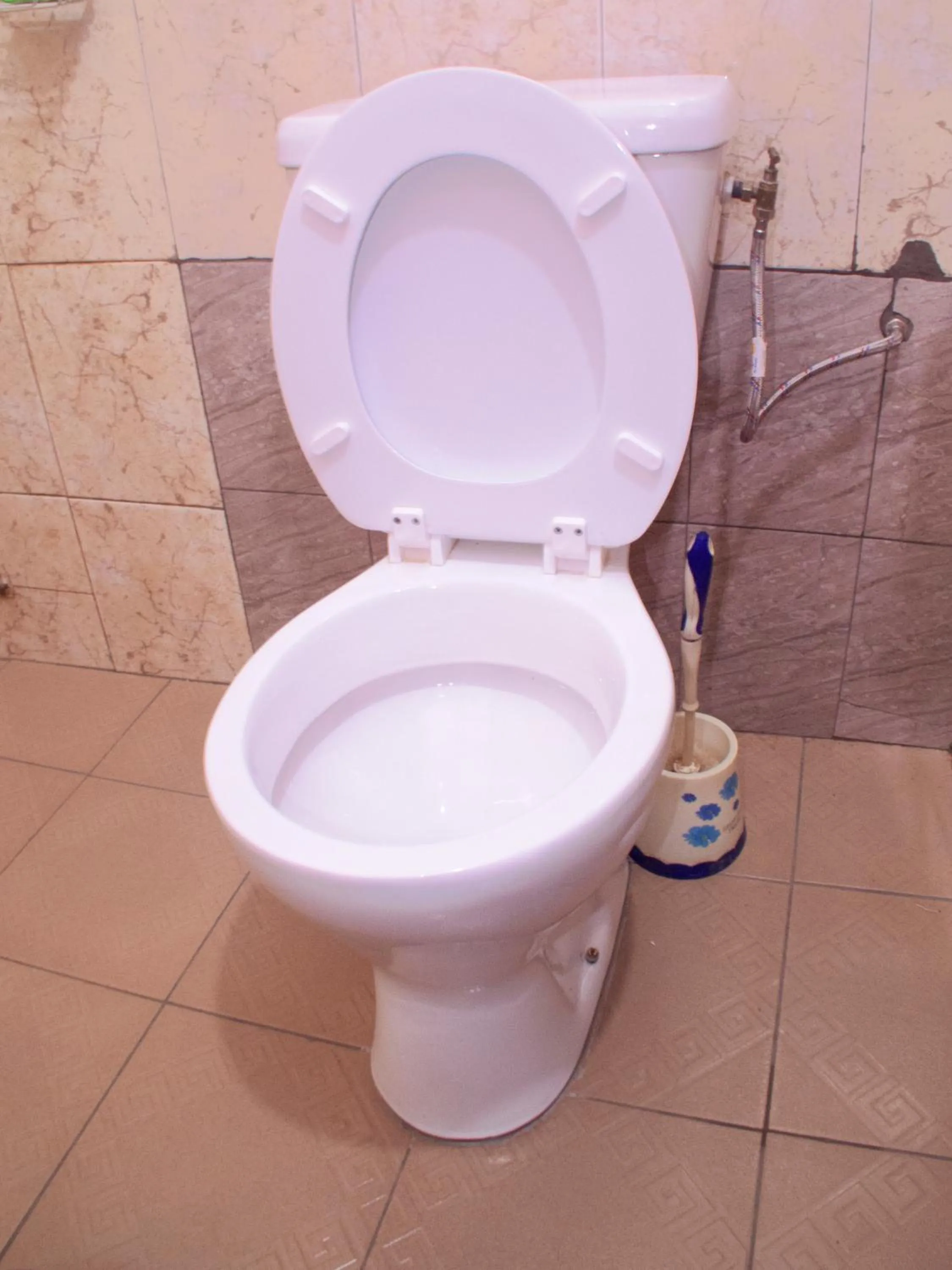 Toilet in Royal hotel