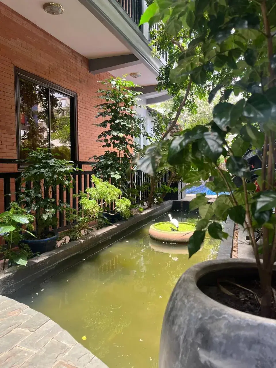 Property building in Jasmine Lodge Siem Reap Property building in Jasmine Lodge Siem Reap