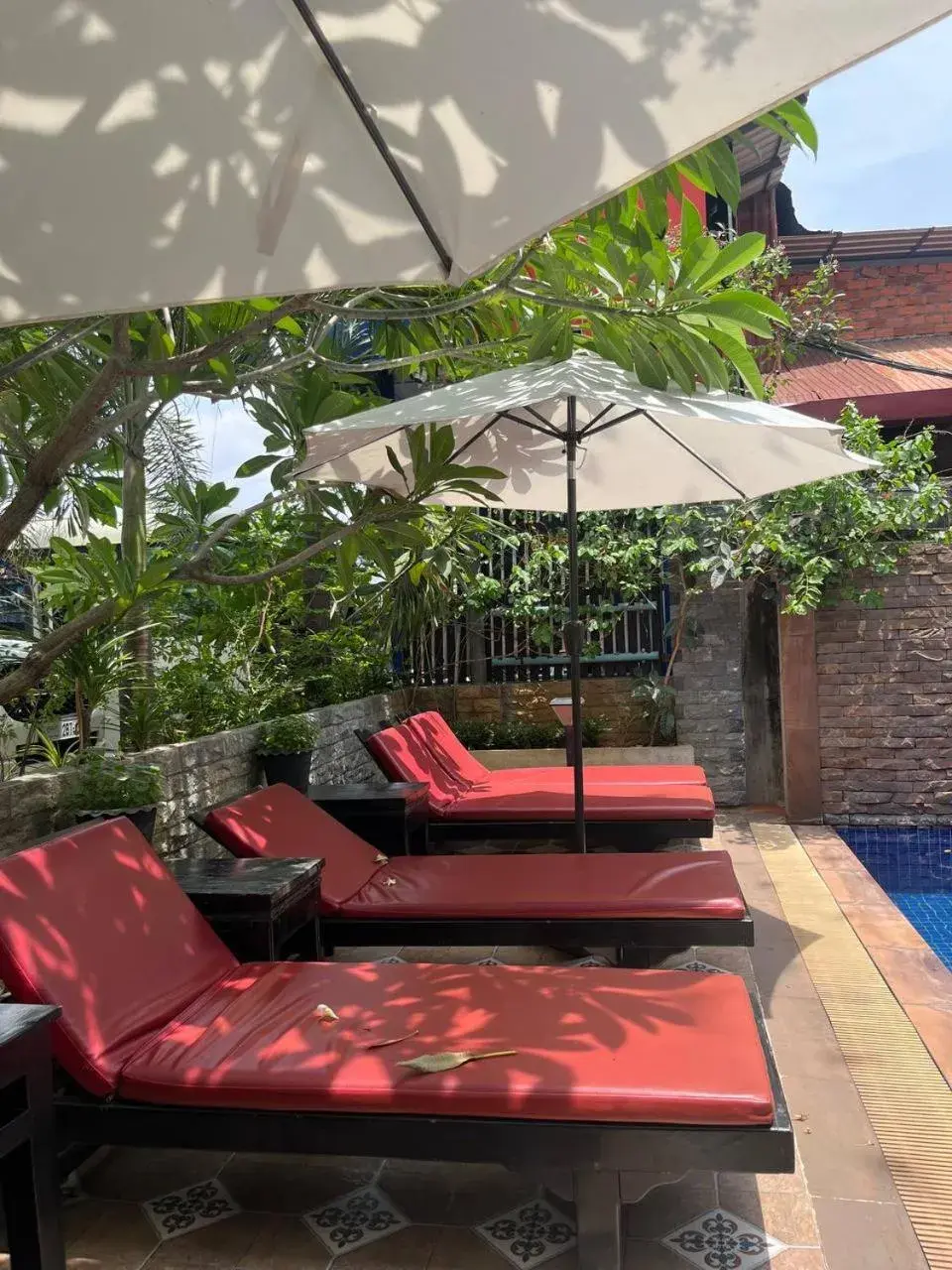 Restaurant/places to eat in Jasmine Lodge Siem Reap Restaurant/places to eat in Jasmine Lodge Siem Reap