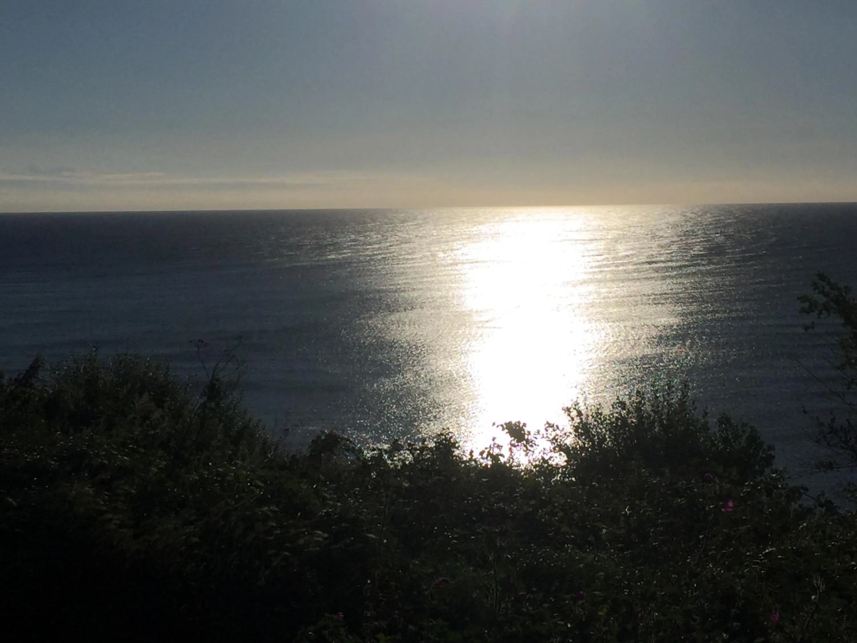 Natural landscape in Fernleigh